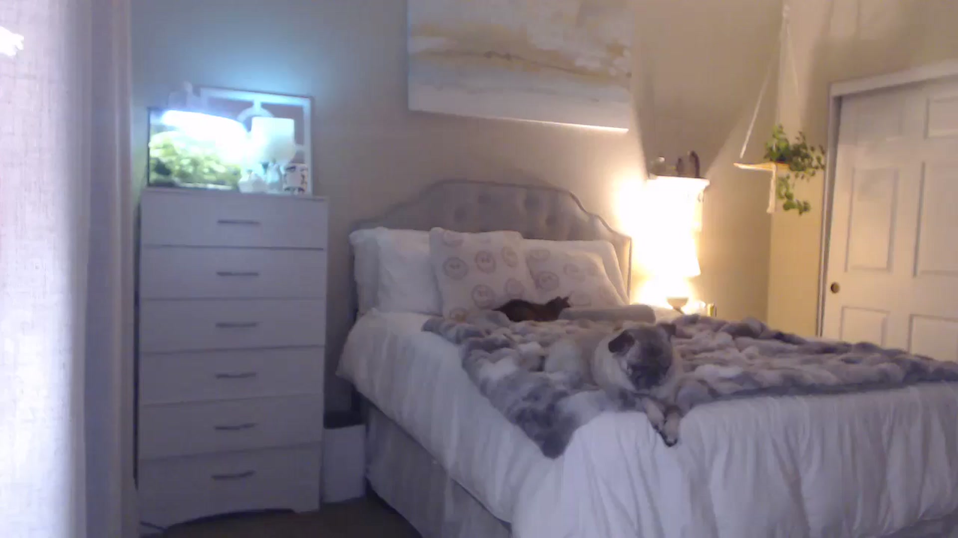 Gallery image thumbnail from Queen_bambii's myfreecams stream on, 01/04/2026, 08:11 image 15 of 20
