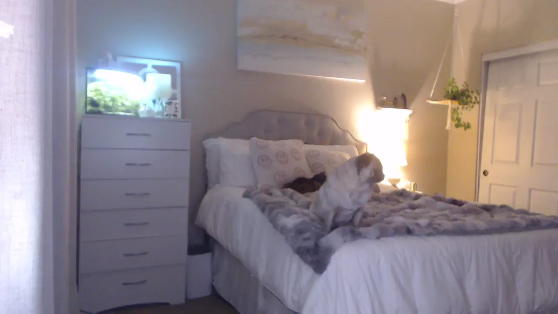 Gallery image thumbnail from Queen_bambii's myfreecams stream on, 01/04/2026, 08:11 image 14 of 20