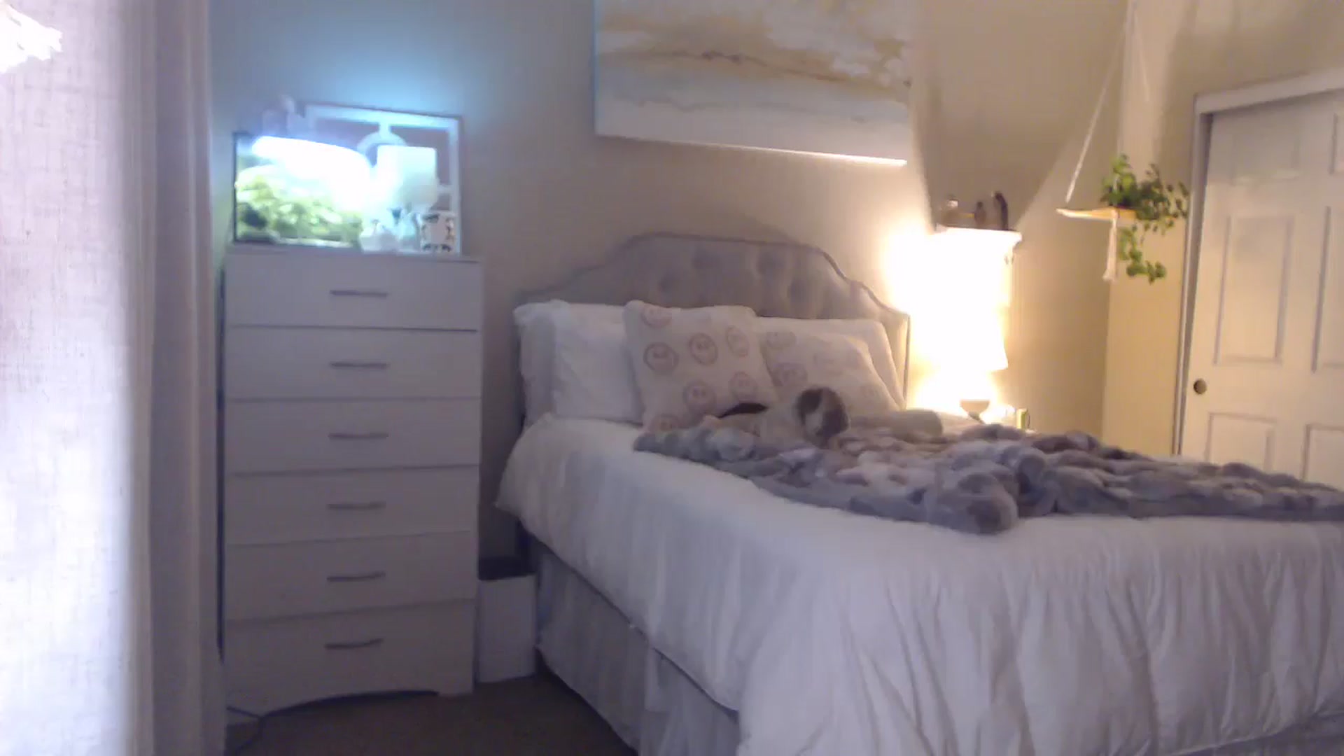 Gallery image thumbnail from Queen_bambii's myfreecams stream on, 01/04/2026, 08:11 image 16 of 20