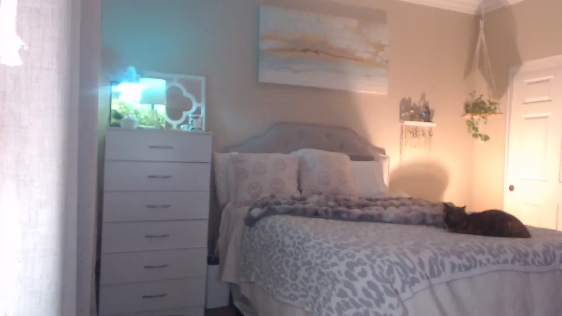 Gallery image thumbnail from Queen_bambii's myfreecams stream on, 01/15/2026, 08:25 image 15 of 20