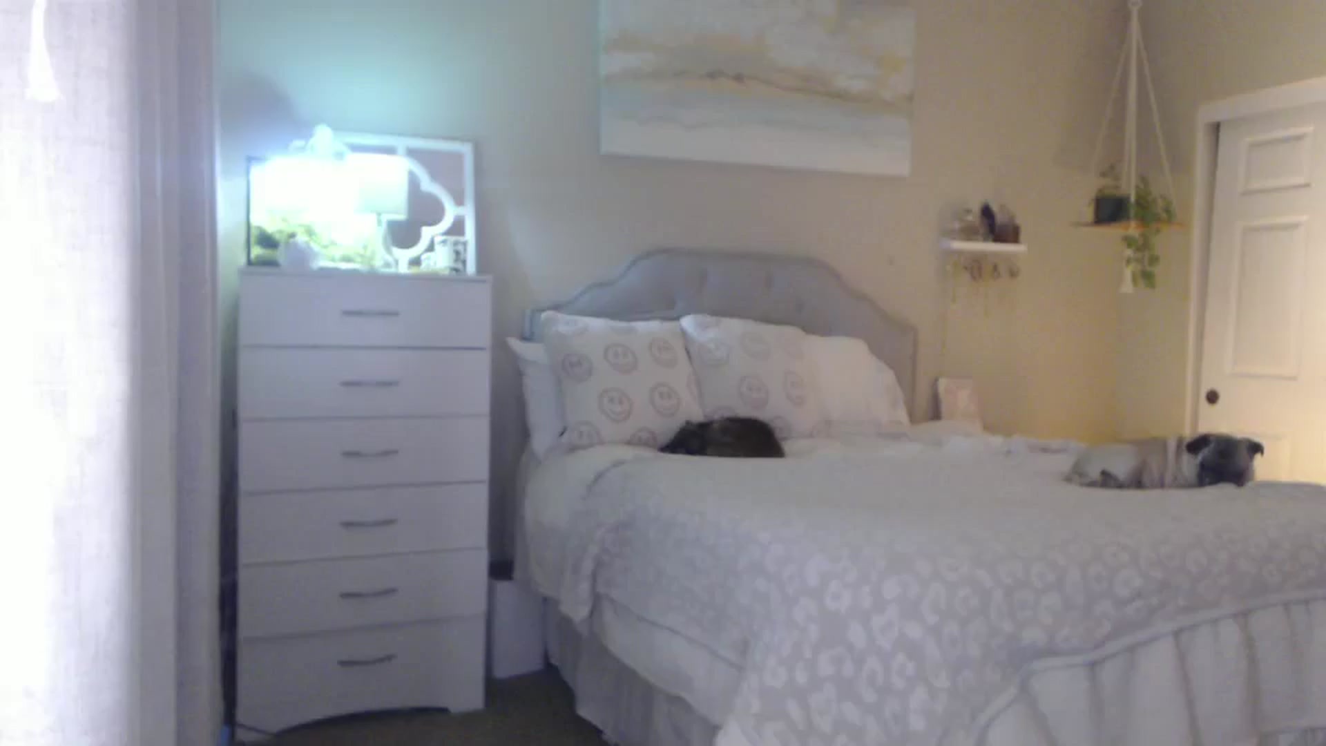 Gallery image thumbnail from Queen_bambii's myfreecams stream on, 01/31/2026, 06:05 image 16 of 20