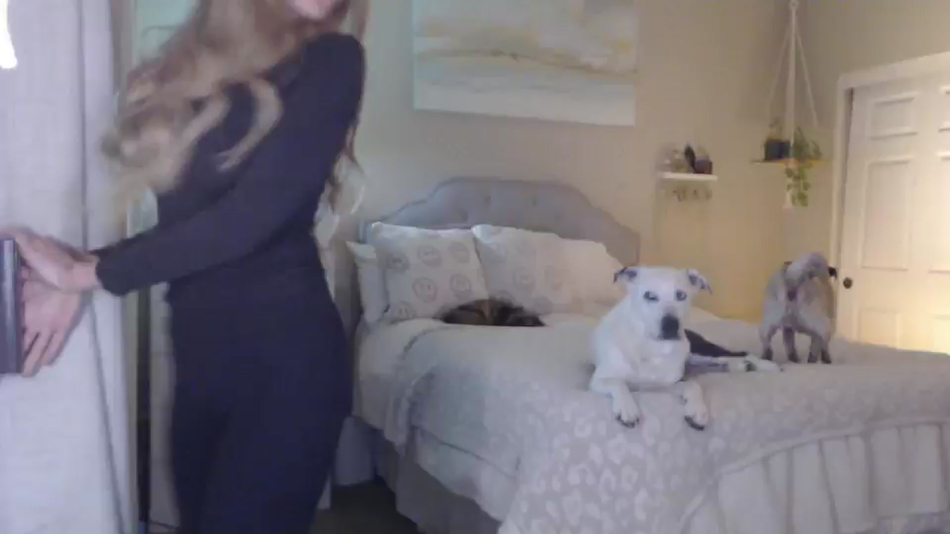 Gallery image thumbnail from Queen_bambii's myfreecams stream on, 01/31/2026, 06:05 image 4 of 20