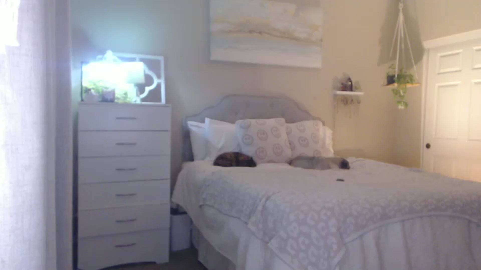 Gallery image thumbnail from Queen_bambii's myfreecams stream on, 02/04/2026, 09:10 image 9 of 20