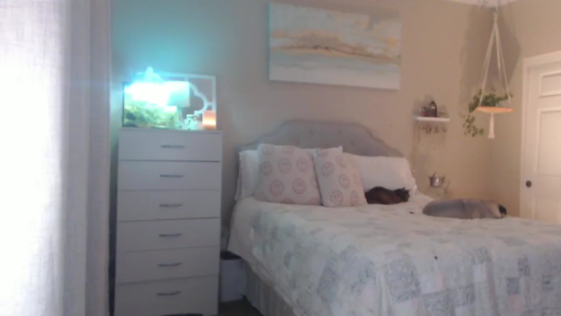 Gallery image thumbnail from Queen_bambii's myfreecams stream on, 02/11/2026, 08:57 image 6 of 20