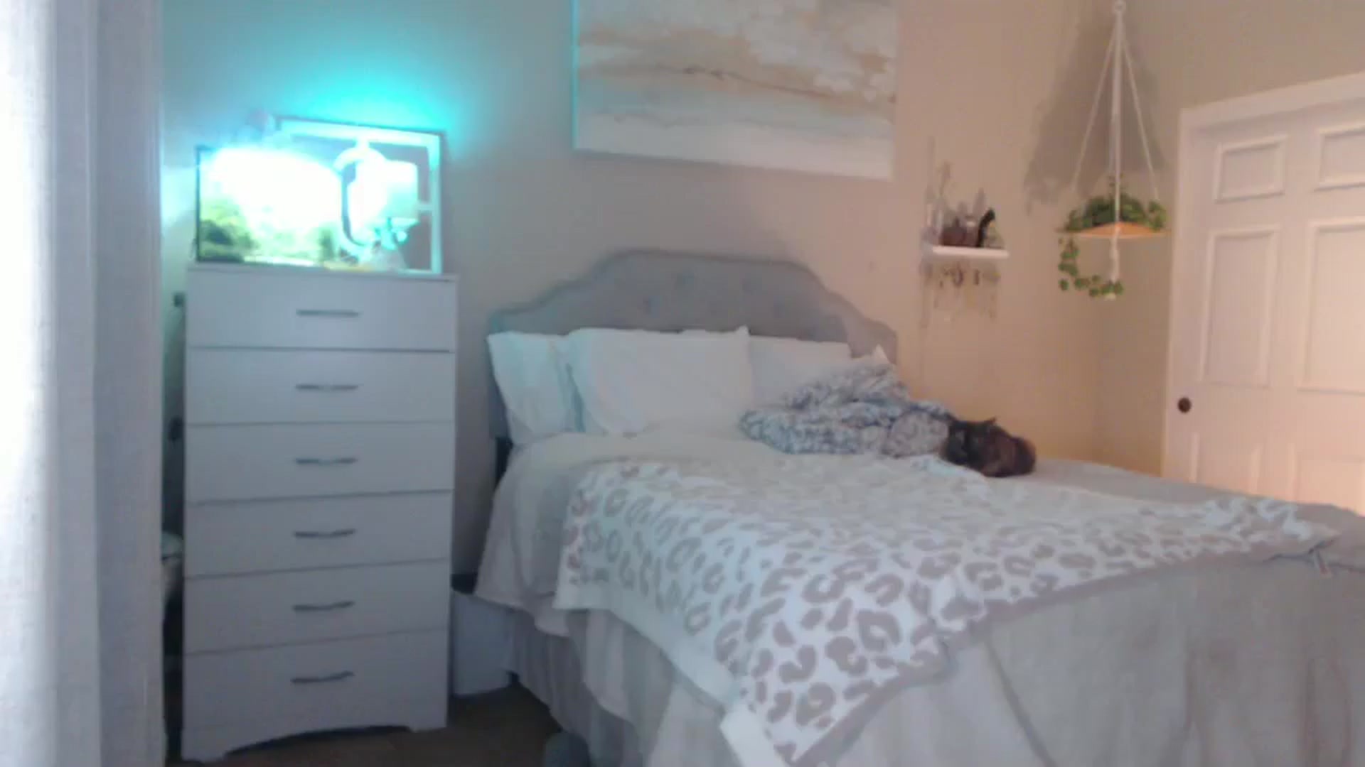 Gallery image thumbnail from Queen_bambii's myfreecams stream on, 03/05/2026, 08:32 image 10 of 20