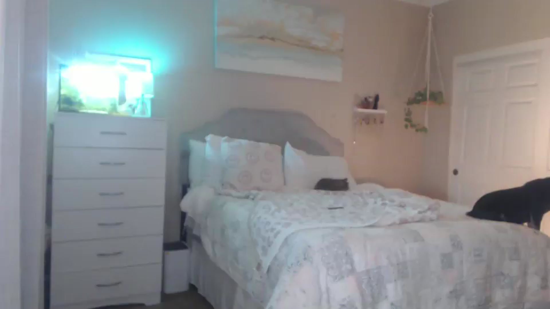 Gallery image thumbnail from Queen_bambii's myfreecams stream on, 03/25/2026, 06:48 image 12 of 20