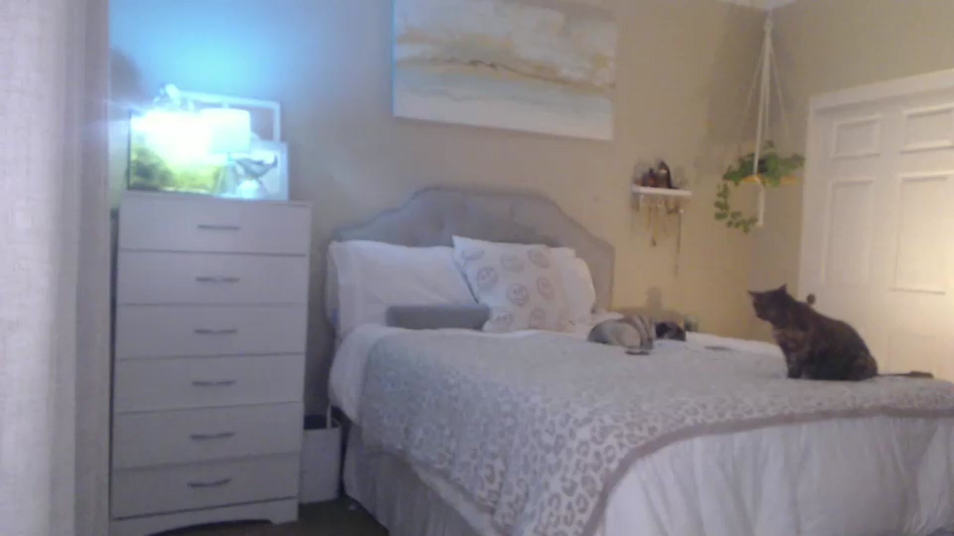Gallery image thumbnail from Queen_bambii's myfreecams stream on, 05/30/2026, 07:33 image 12 of 20