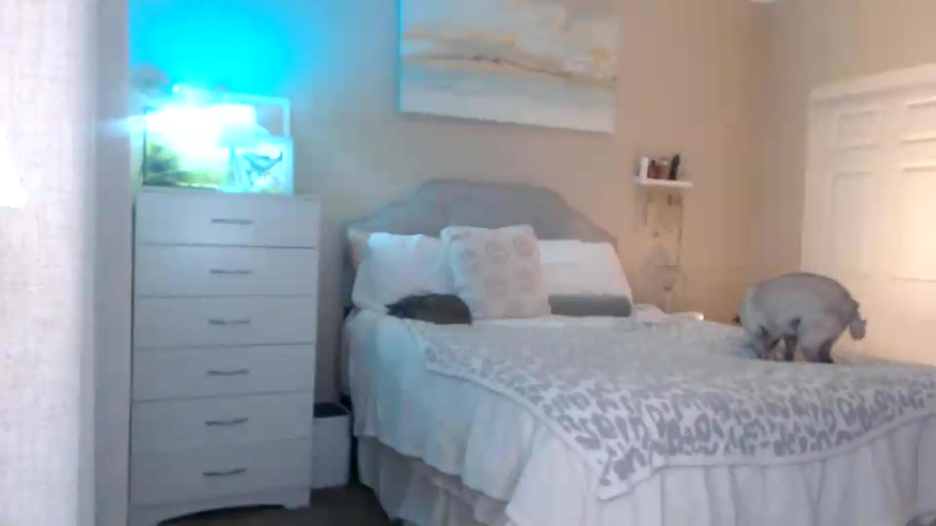 Gallery image thumbnail from Queen_bambii's myfreecams stream on, 06/11/2026, 07:18 image 11 of 20