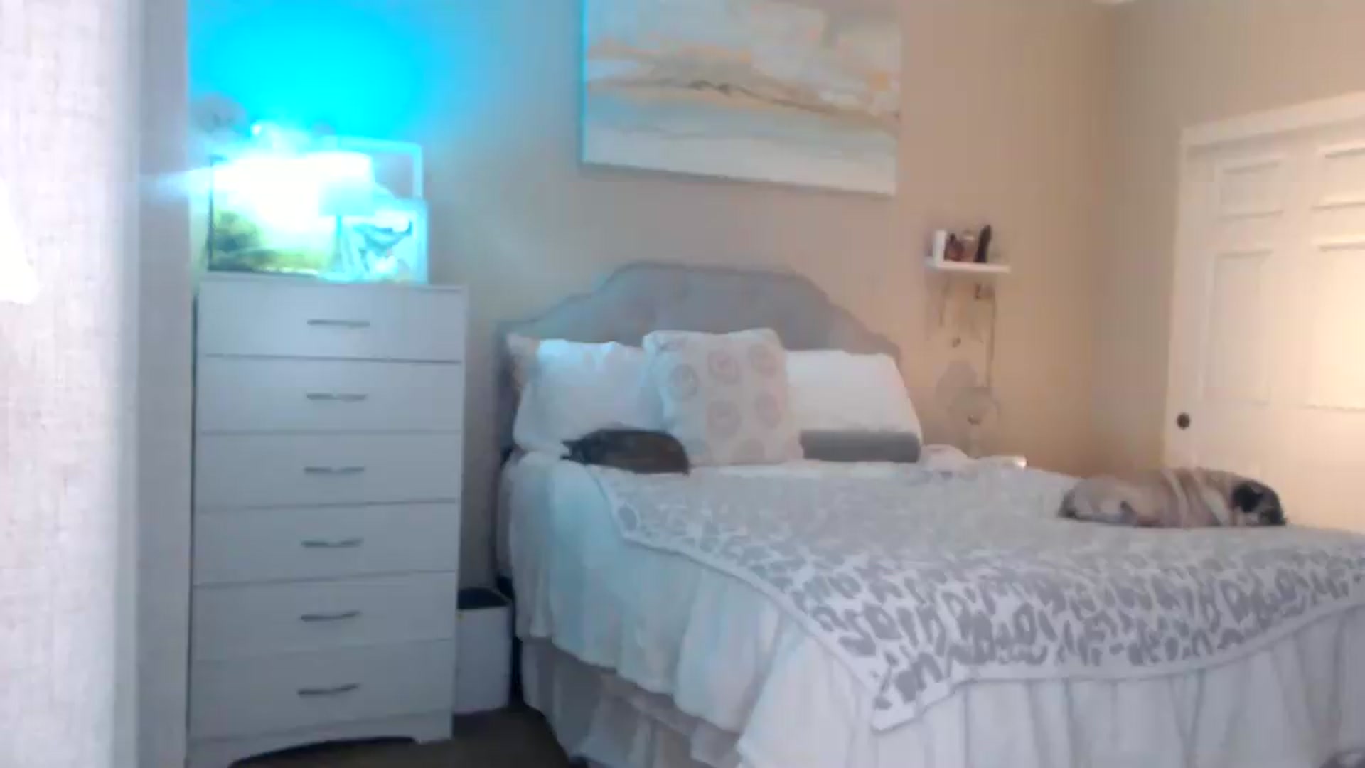 Gallery image thumbnail from Queen_bambii's myfreecams stream on, 06/11/2026, 07:18 image 12 of 20