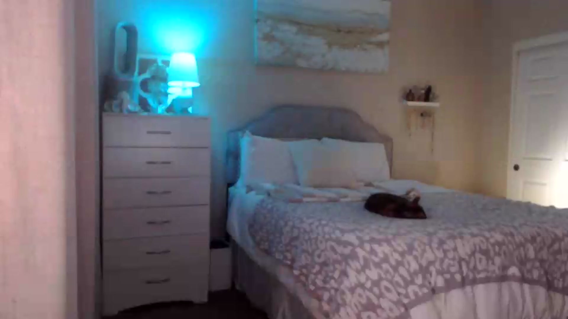 Gallery image thumbnail from Queen_bambii's myfreecams stream on, 08/01/2026, 06:59 image 6 of 20
