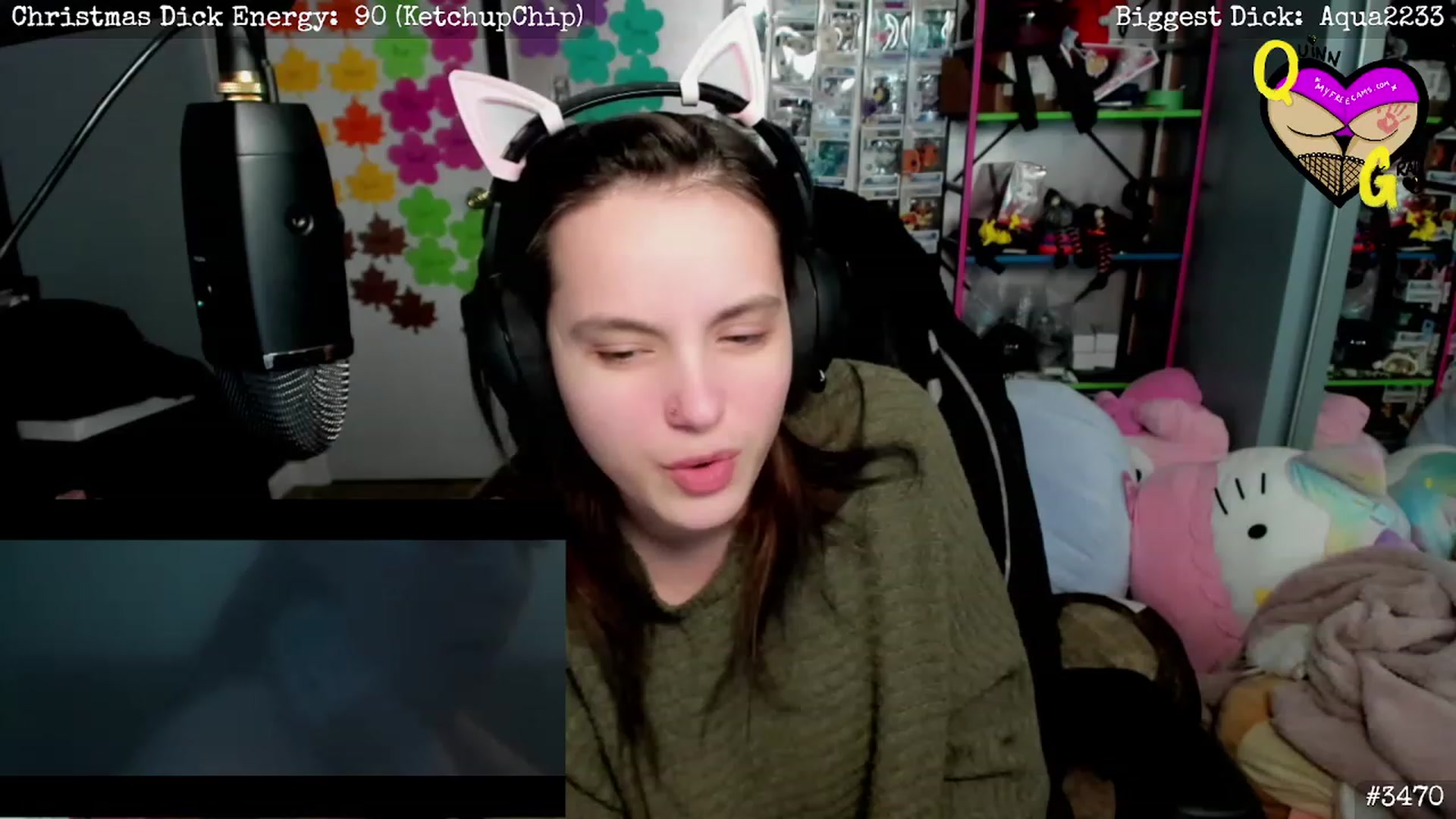 Gallery image thumbnail from QuinnGray's myfreecams stream on, 12/20/2022, 04:43 image 12 of 20