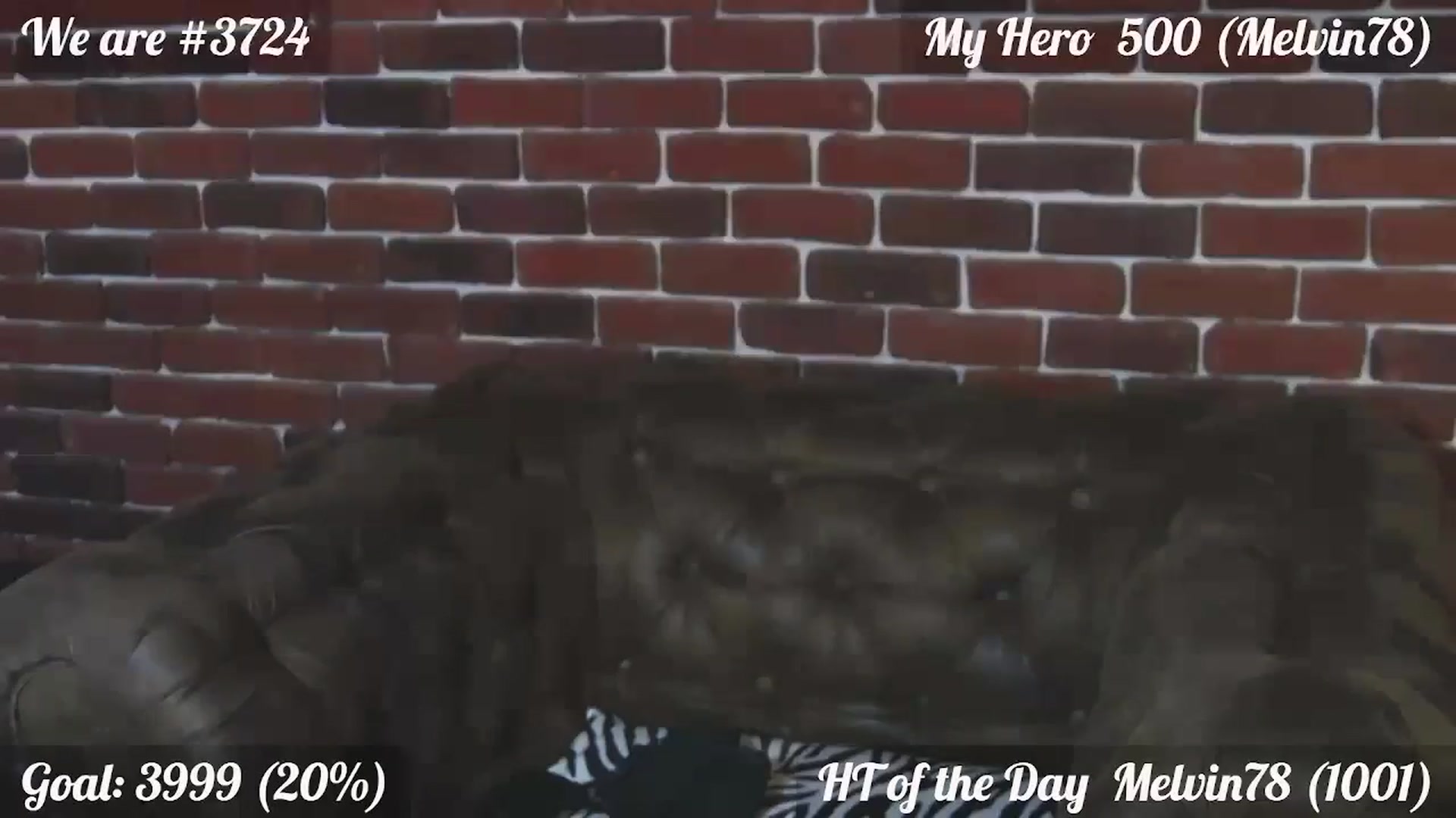 Gallery image thumbnail from QuinnieSmile's myfreecams stream on, 01/09/2025, 12:57 image 13 of 20
