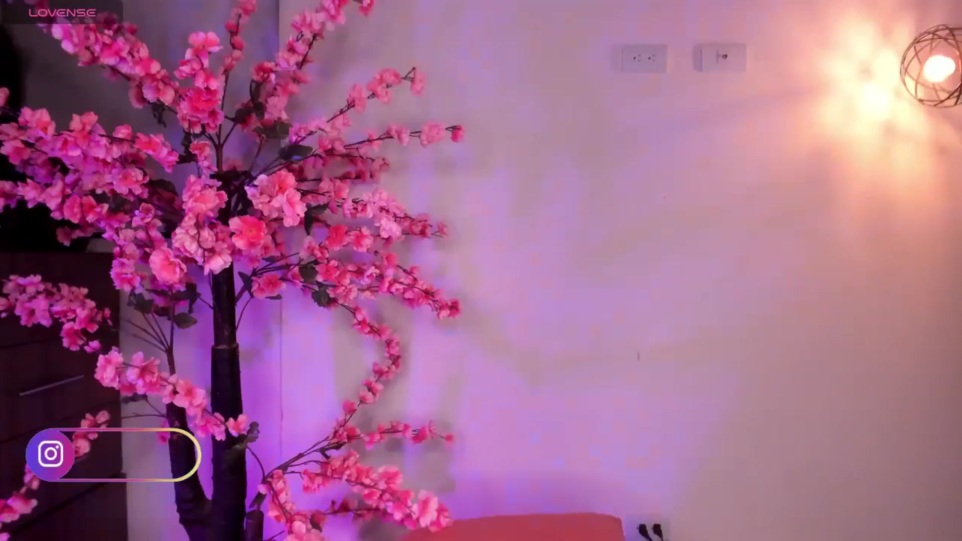 Gallery image thumbnail from R4VENN_'s myfreecams stream on, 12/18/2024, 10:55 image 20 of 20