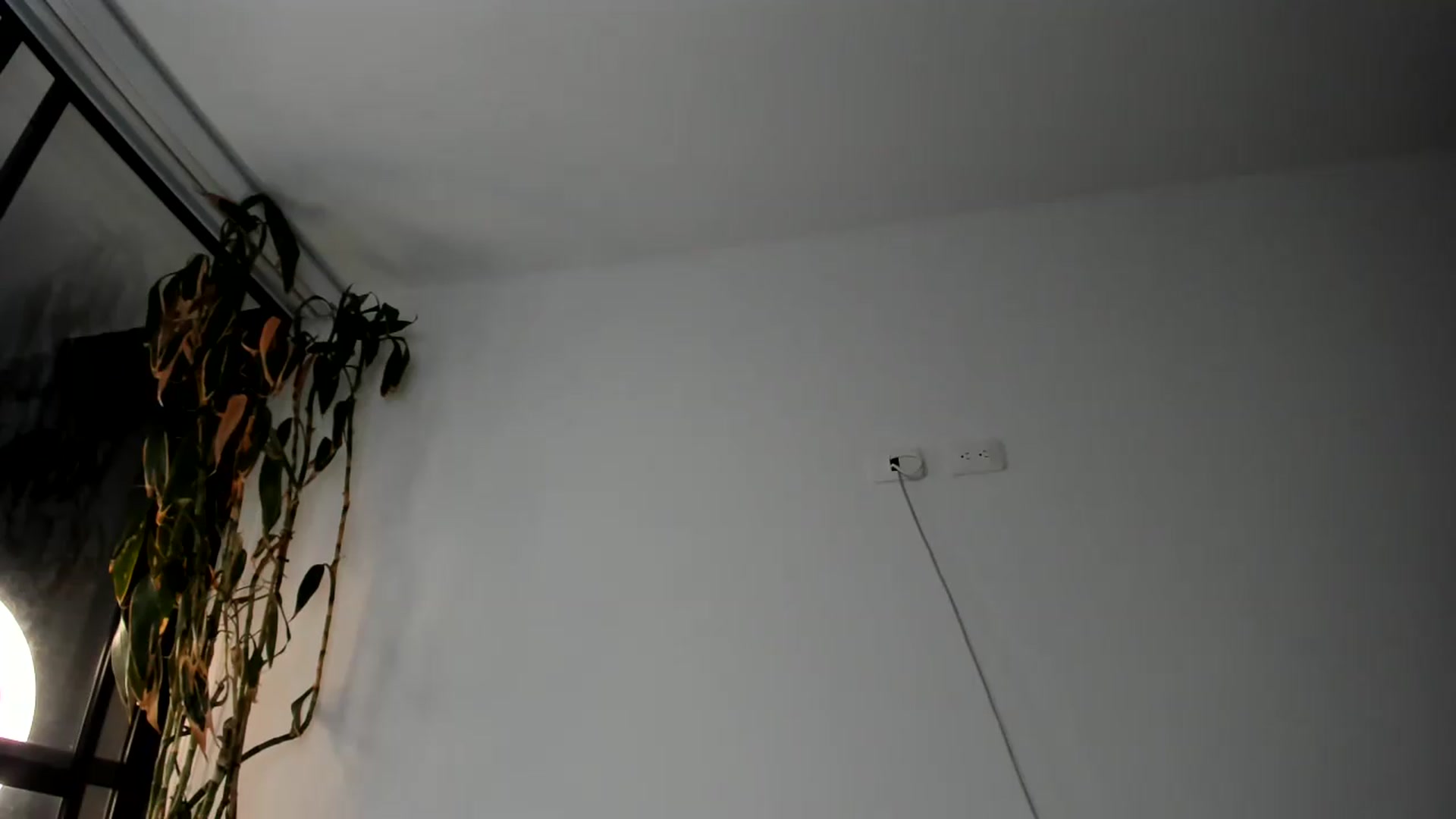 Gallery image thumbnail from R_O_S_S_E's myfreecams stream on, 09/11/2026, 24:01 image 19 of 20