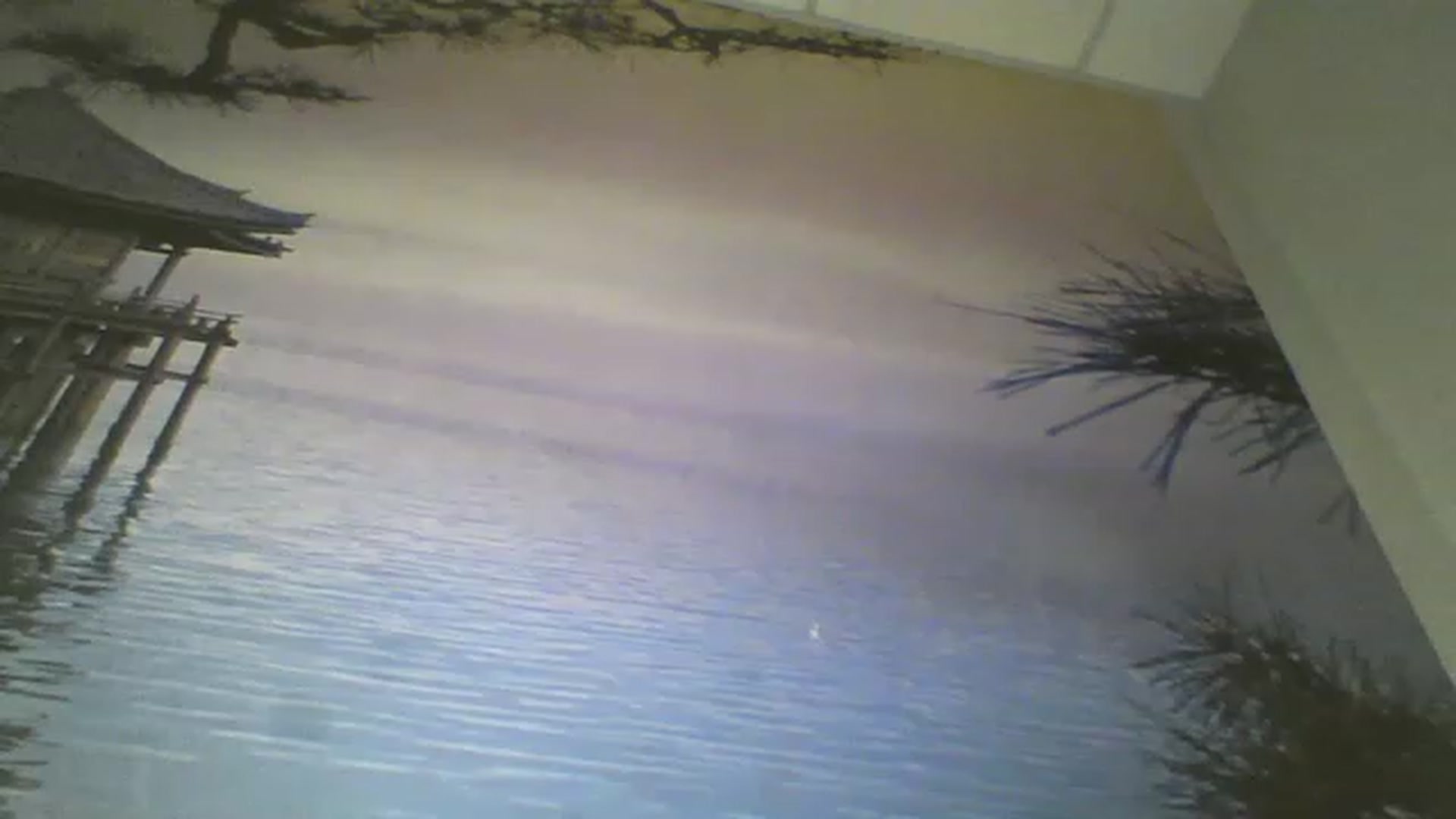 Gallery image thumbnail from RachelGreen88's myfreecams stream on, 01/29/2023, 12:06 image 19 of 20