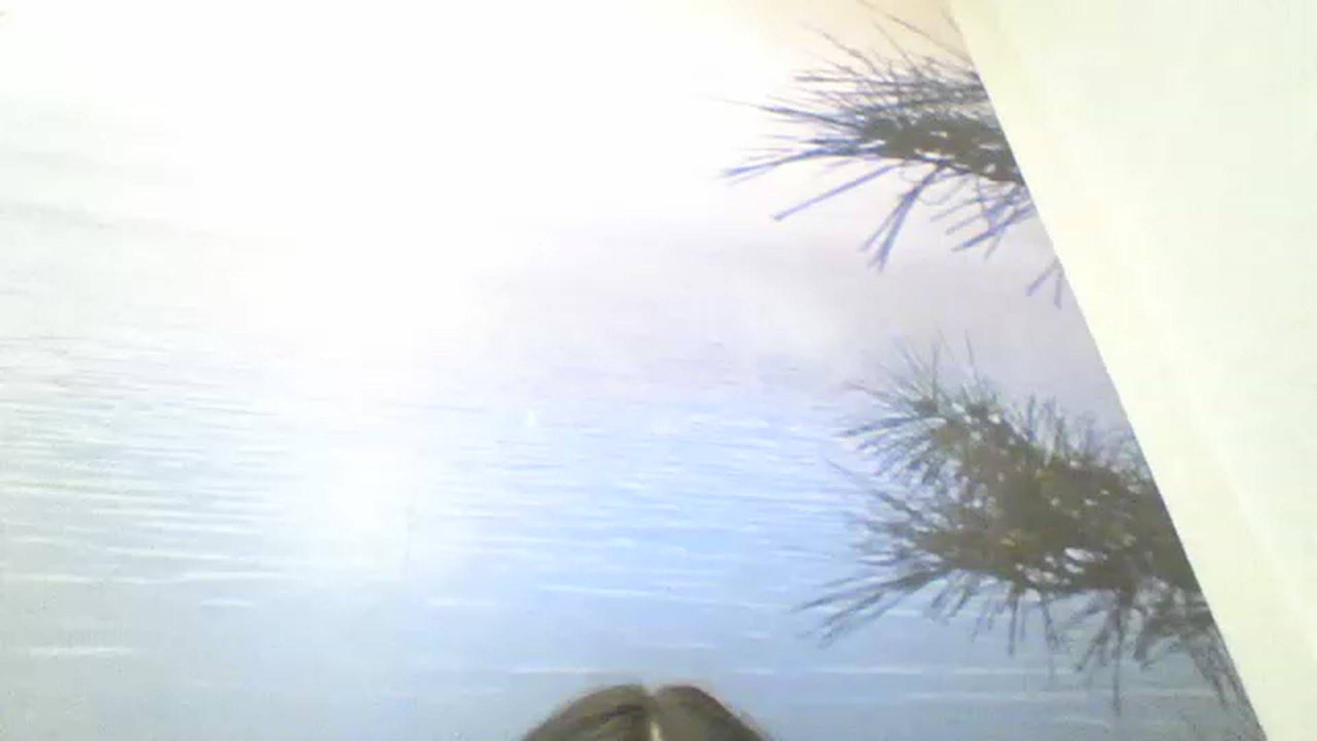 Gallery image thumbnail from RachelGreen88's myfreecams stream on, 03/19/2023, 14:47 image 9 of 20
