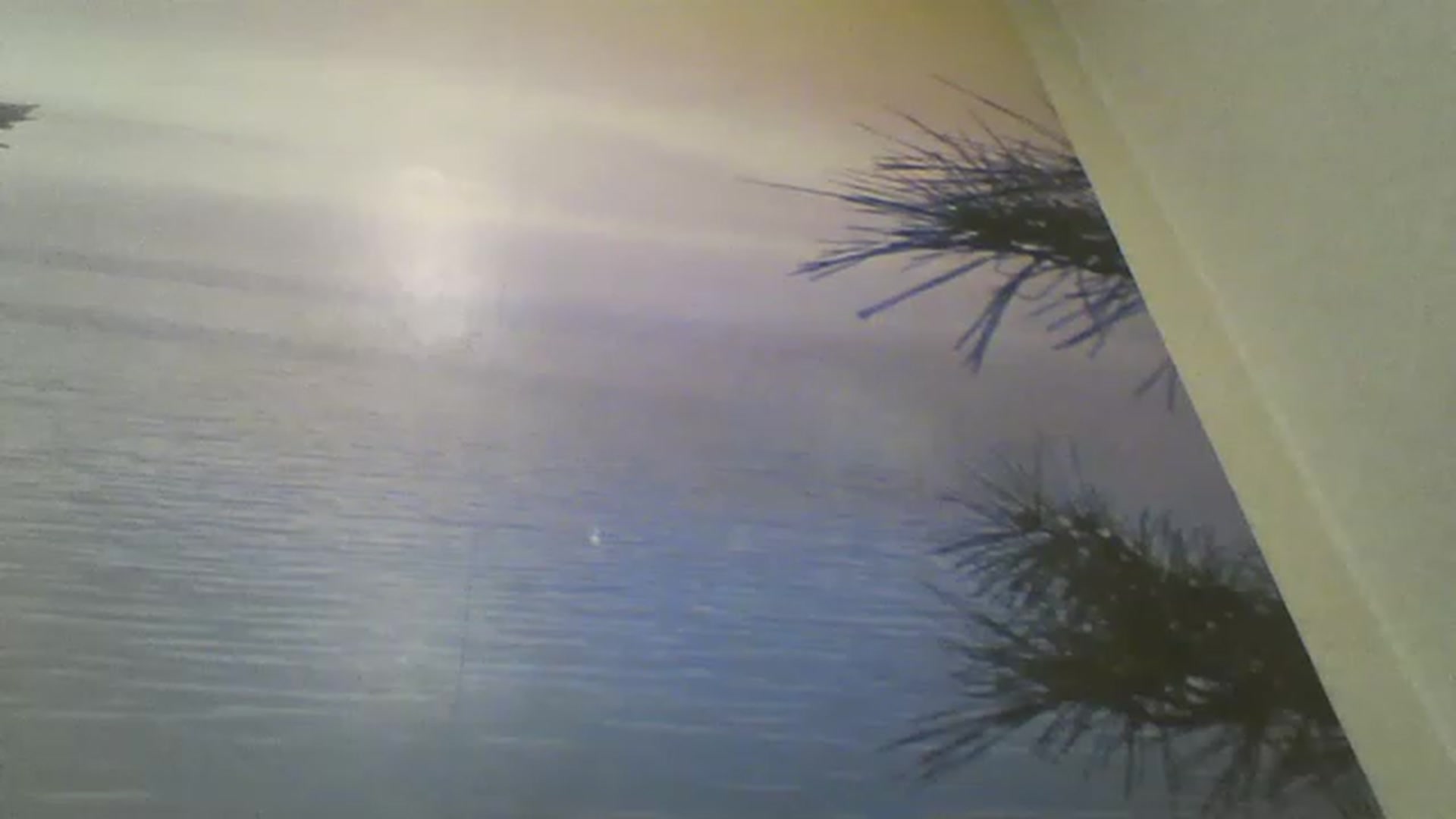 Gallery image thumbnail from RachelGreen88's myfreecams stream on, 03/19/2023, 14:47 image 7 of 20