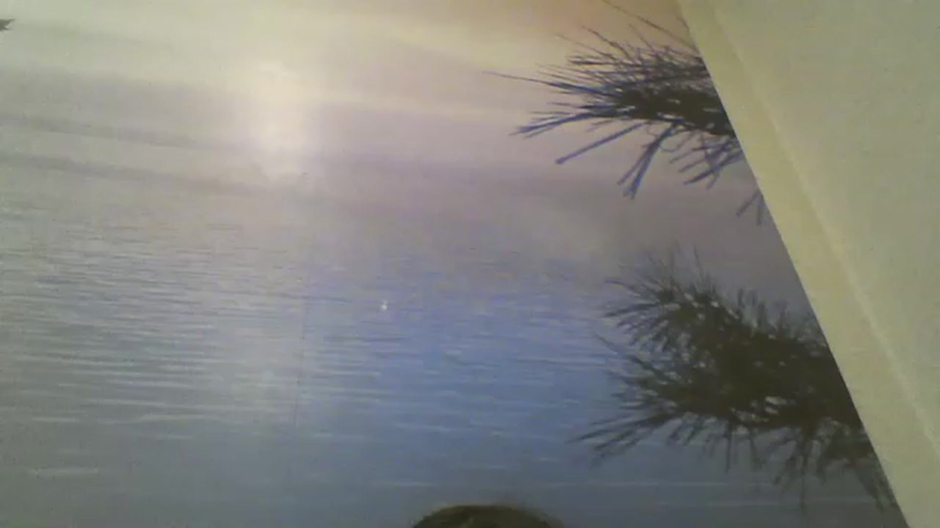 Gallery image thumbnail from RachelGreen88's myfreecams stream on, 03/19/2023, 14:47 image 3 of 20