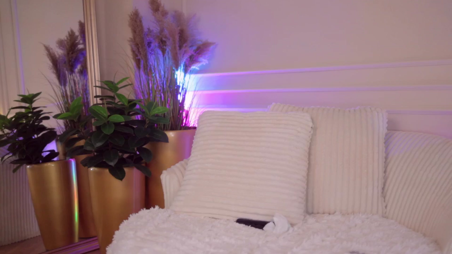Gallery image thumbnail from Rachel_Quinn's myfreecams stream on, 03/25/2026, 11:49 image 20 of 20