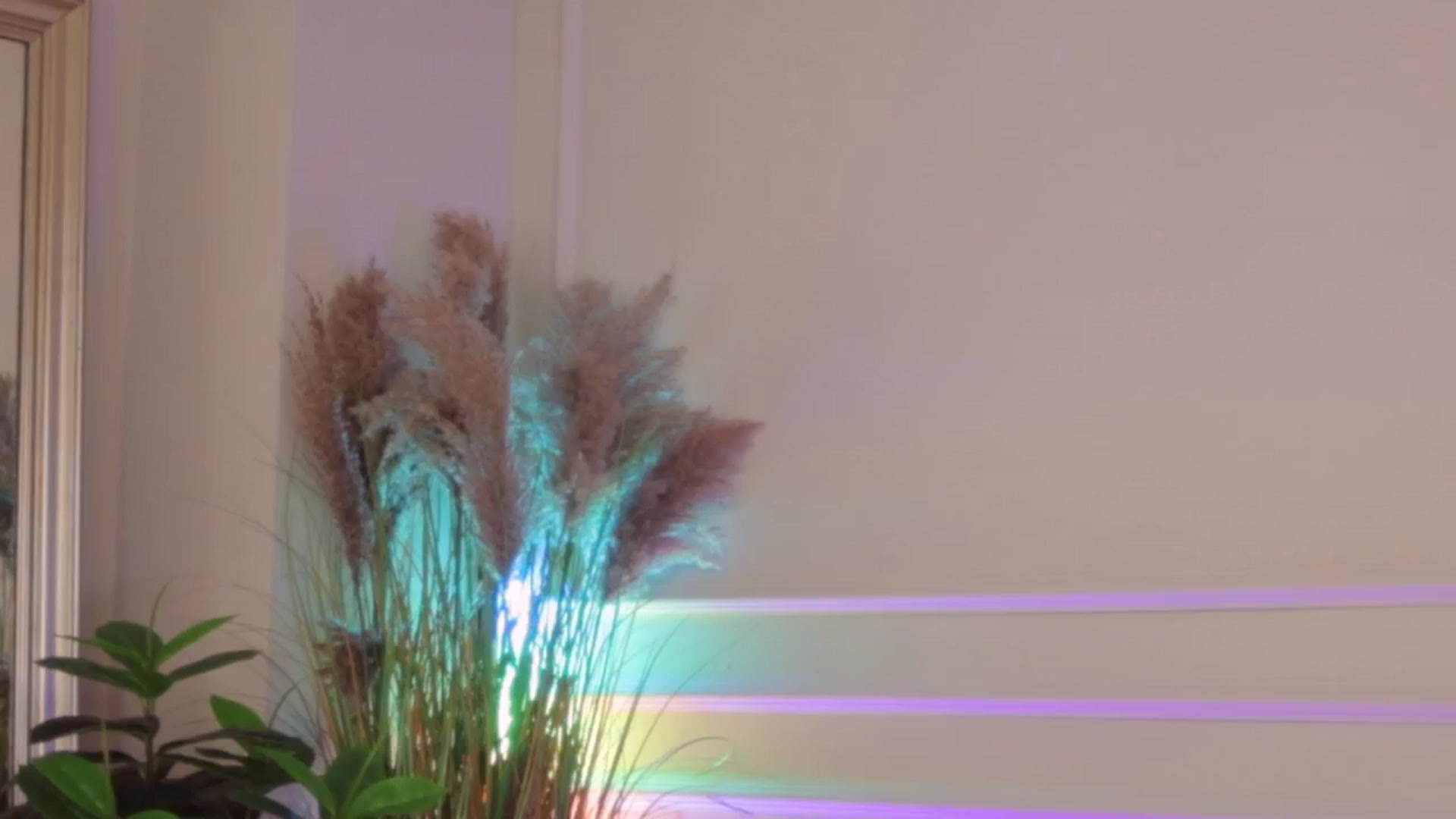 Gallery image thumbnail from Rachel_Quinn's myfreecams stream on, 04/28/2026, 10:40 image 18 of 20
