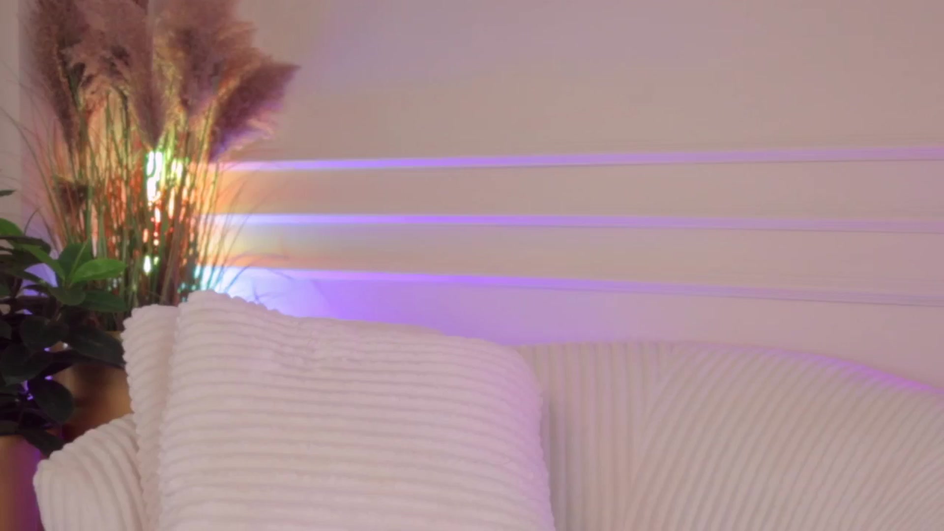 Gallery image thumbnail from Rachel_Quinn's myfreecams stream on, 05/02/2026, 09:01 image 8 of 20