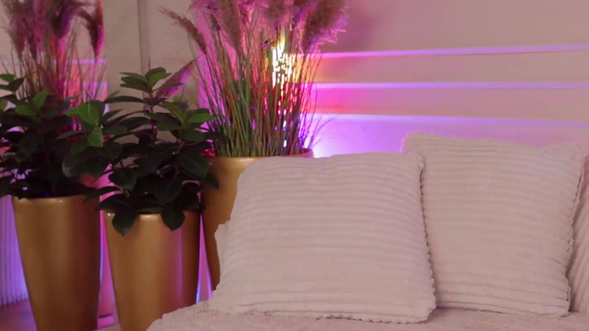 Gallery image thumbnail from Rachel_Quinn's myfreecams stream on, 06/22/2026, 07:15 image 12 of 20