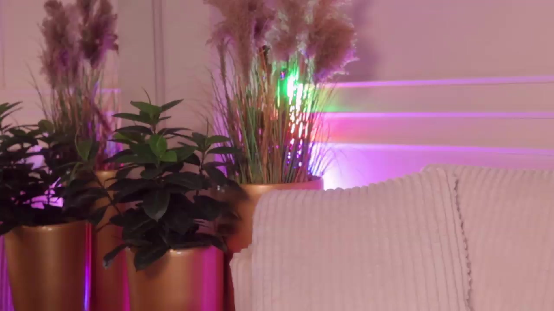 Gallery image thumbnail from Rachel_Quinn's myfreecams stream on, 07/18/2026, 09:48 image 18 of 20
