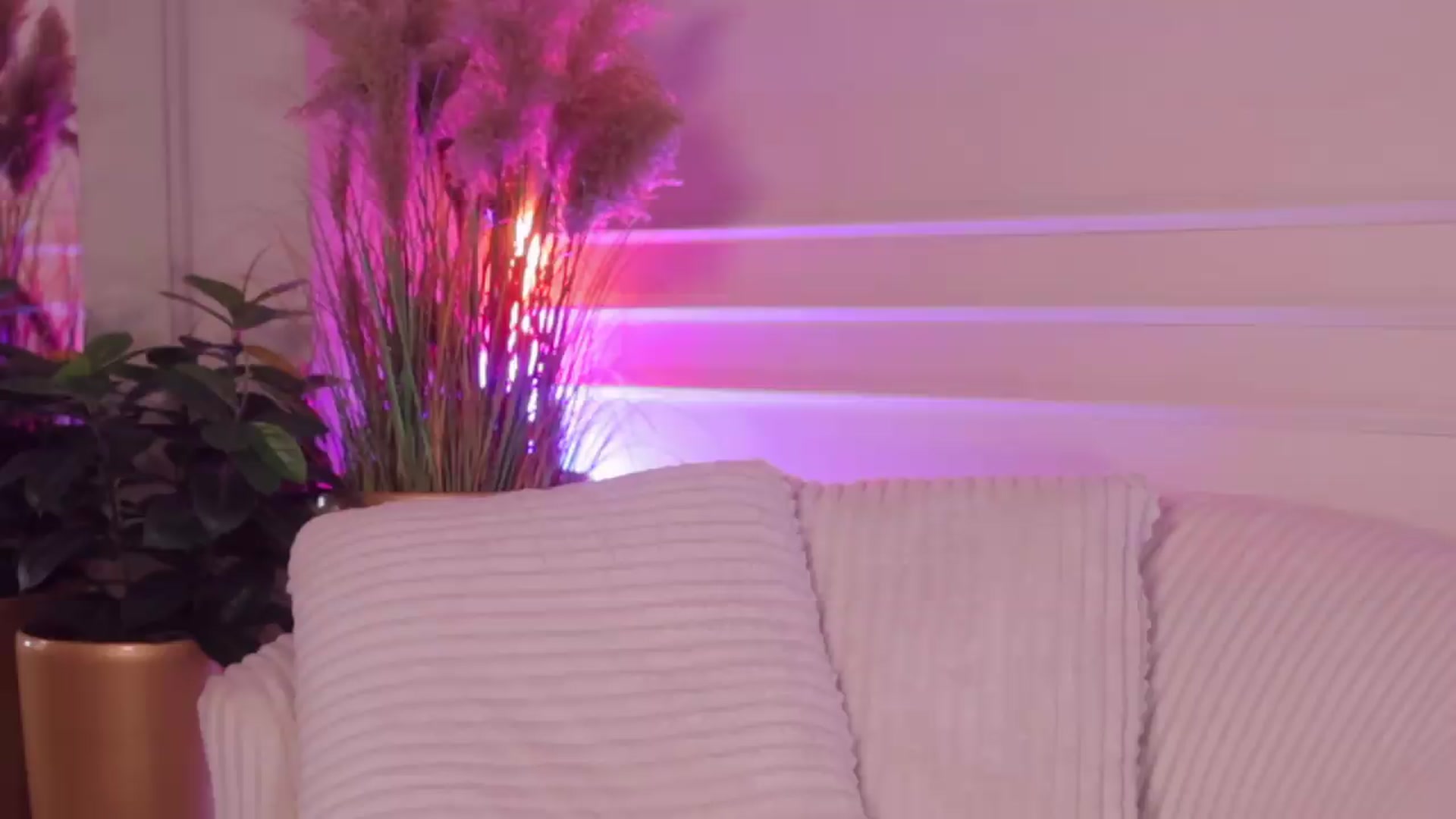 Gallery image thumbnail from Rachel_Quinn's myfreecams stream on, 08/26/2026, 05:45 image 13 of 20