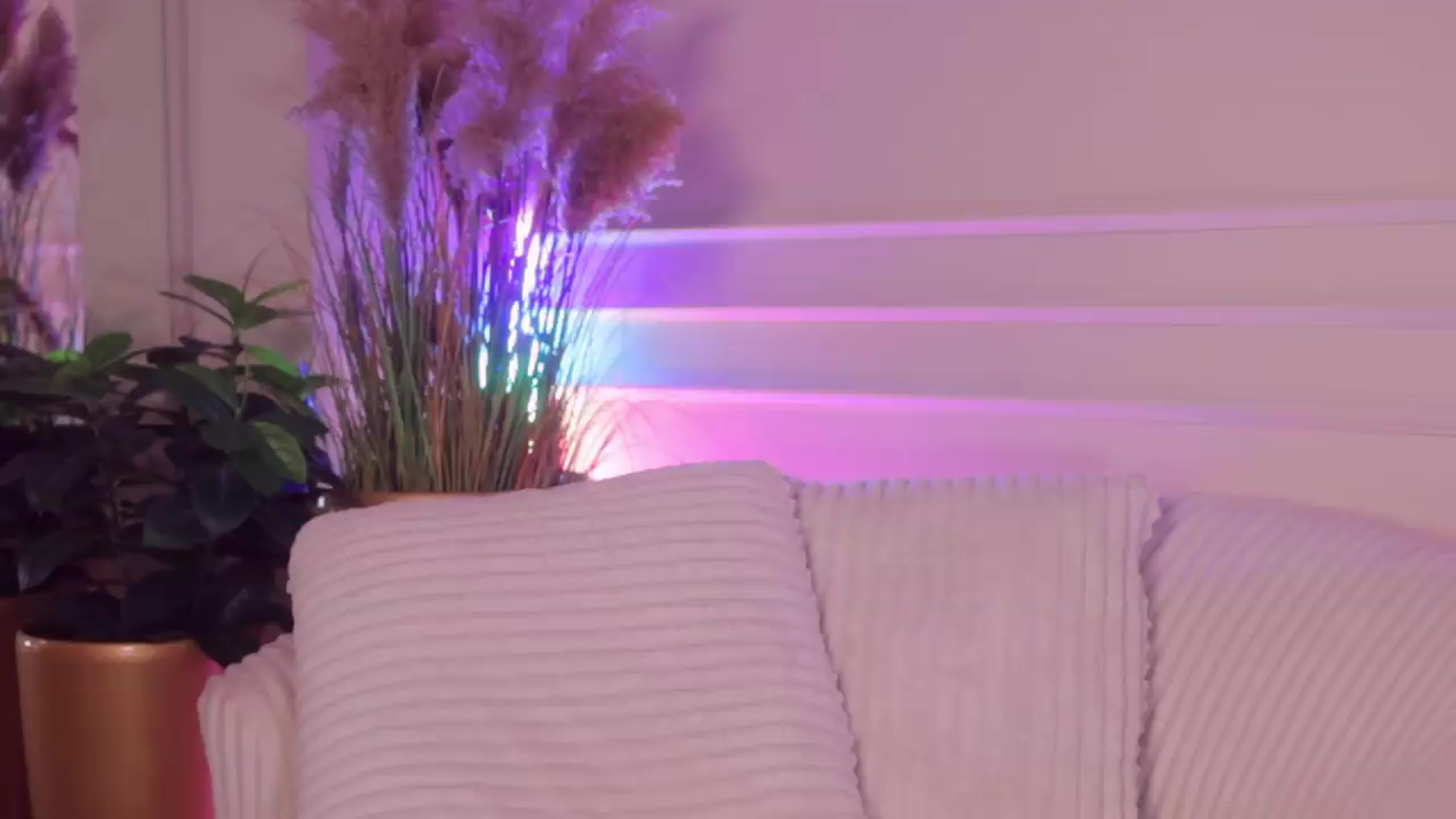 Gallery image thumbnail from Rachel_Quinn's myfreecams stream on, 08/26/2026, 05:45 image 14 of 20