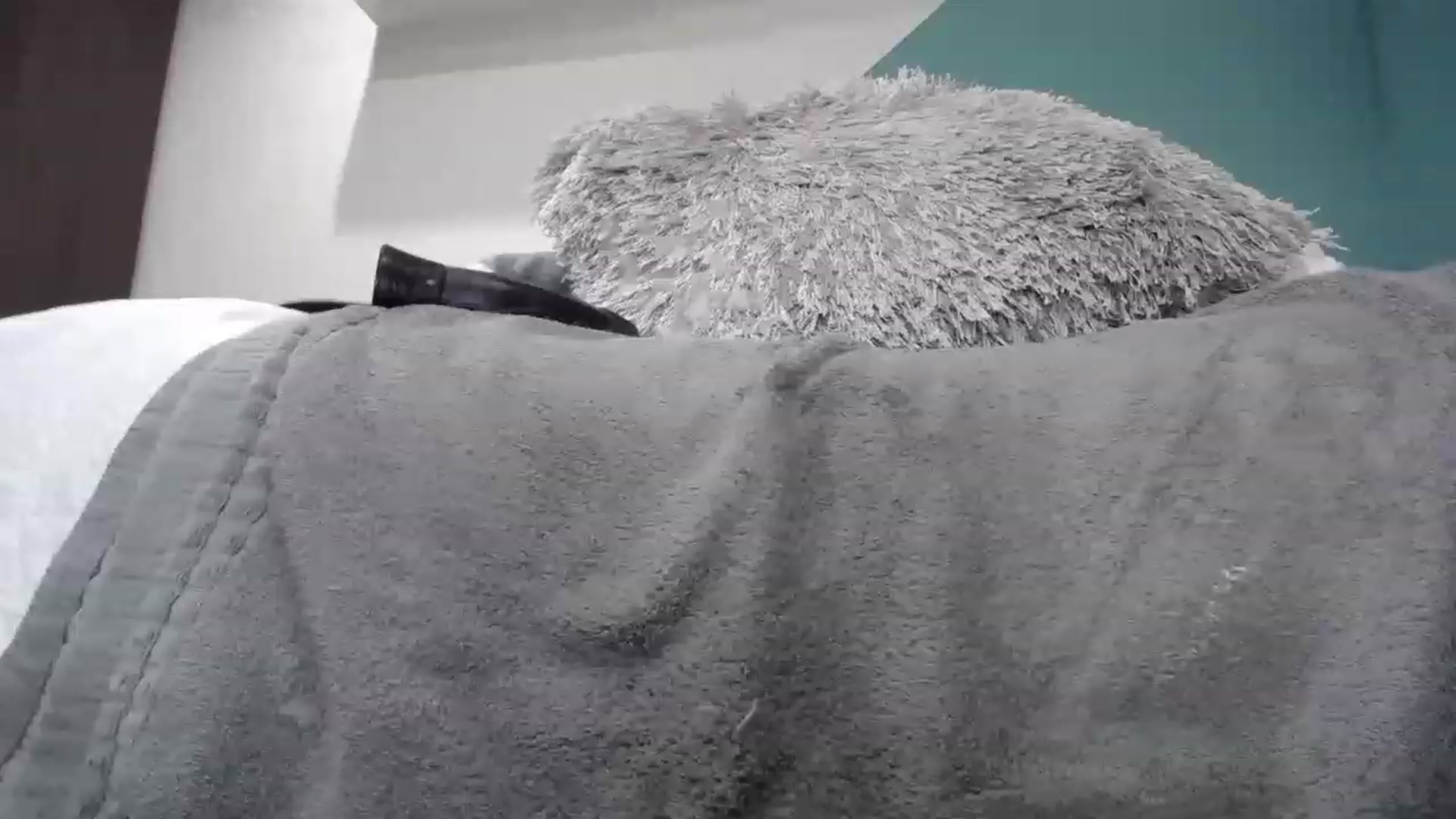 Gallery image thumbnail from Rachelsensual's myfreecams stream on, 11/25/2022, 02:15 image 2 of 20