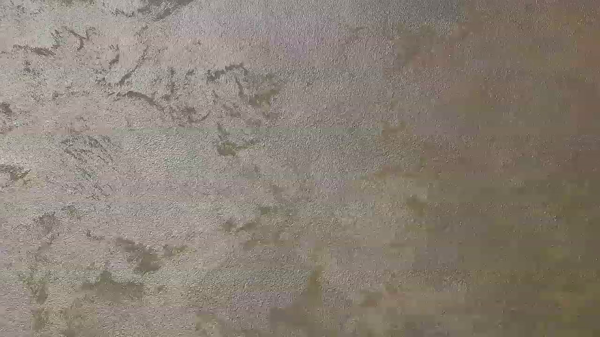 Gallery image thumbnail from Radiance's myfreecams stream on, 11/27/2022, 15:42 image 11 of 20