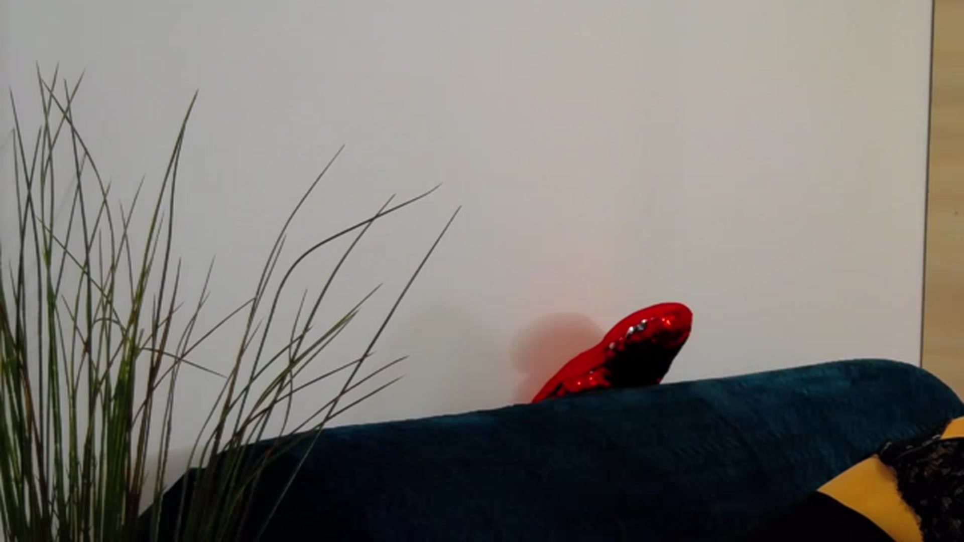 Gallery image thumbnail from Radiance's myfreecams stream on, 02/28/2023, 20:50 image 10 of 20