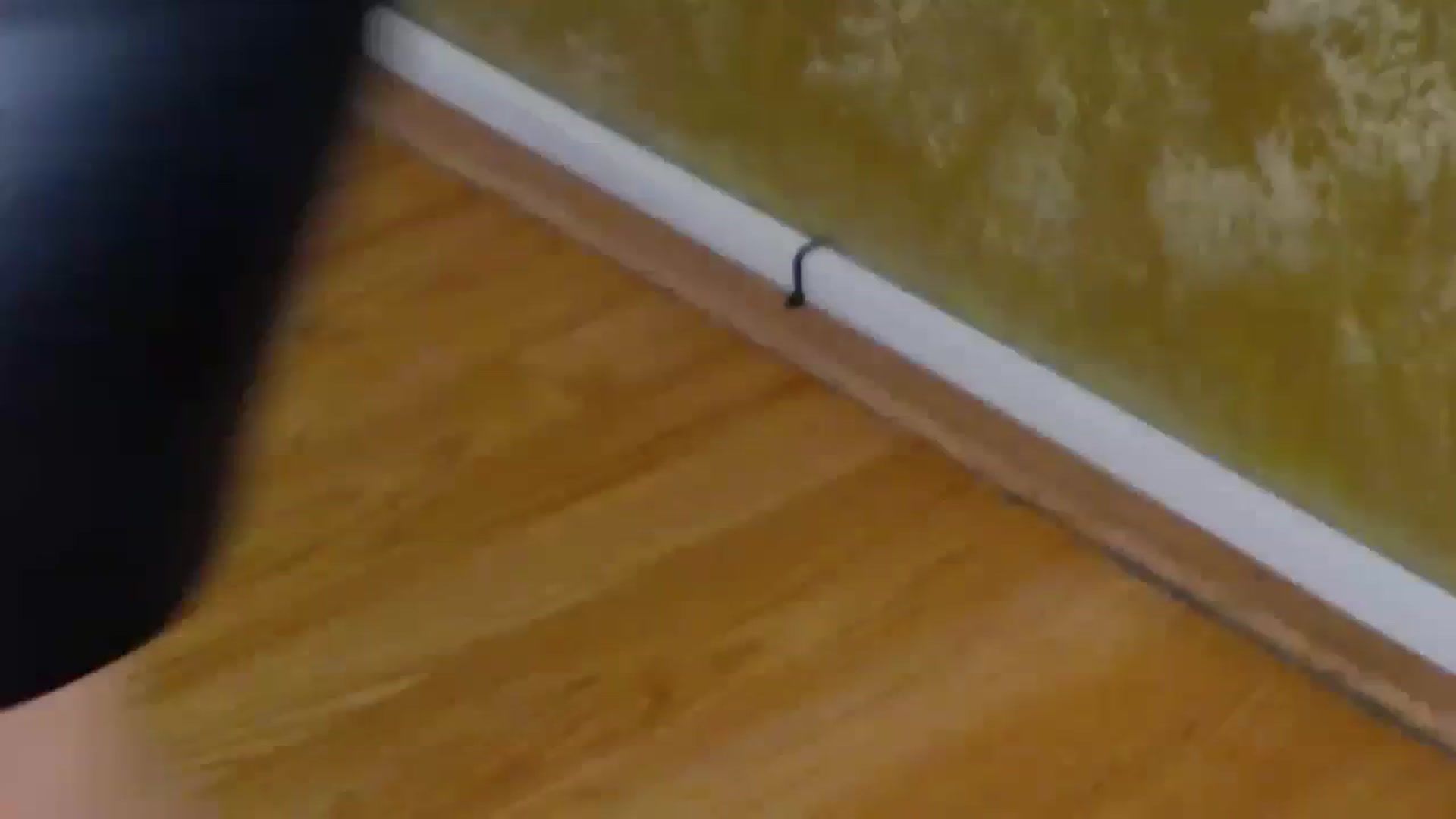 Gallery image thumbnail from Radiance's myfreecams stream on, 10/13/2023, 16:31 image 16 of 20