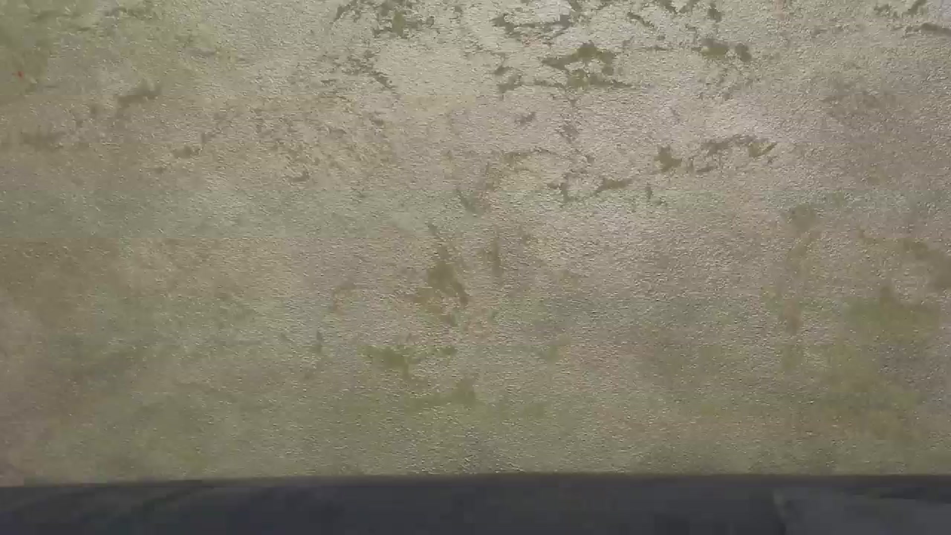 Gallery image thumbnail from Radiance's myfreecams stream on, 10/20/2023, 15:38 image 11 of 20