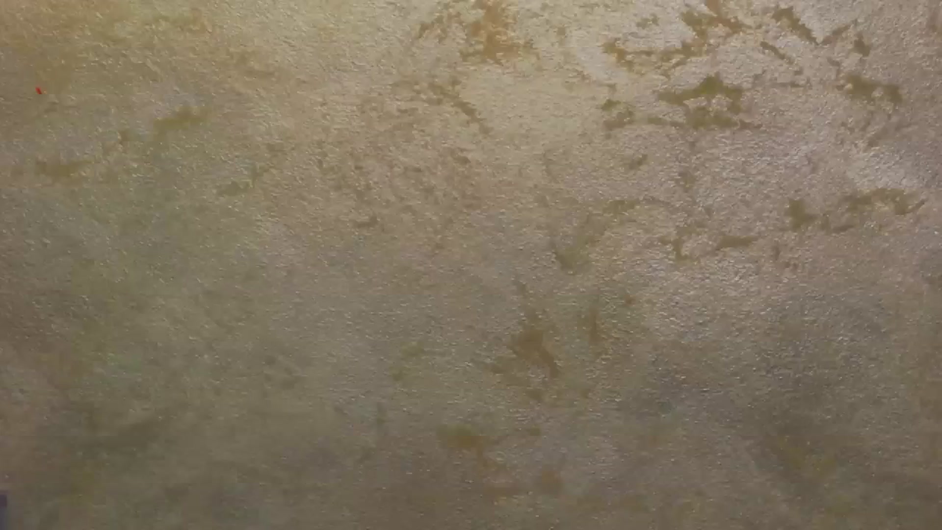Gallery image thumbnail from Radiance's myfreecams stream on, 11/08/2023, 15:50 image 16 of 20
