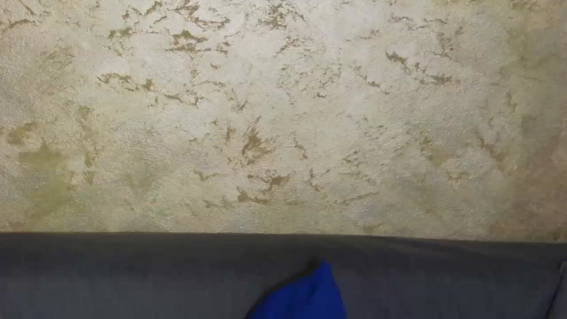 Gallery image thumbnail from Radiance's myfreecams stream on, 12/13/2023, 19:15 image 13 of 20