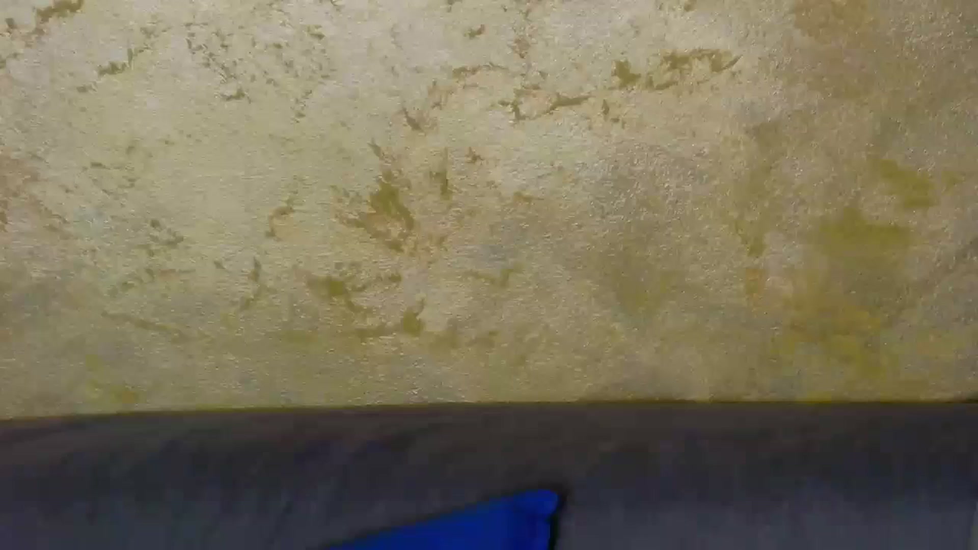 Gallery image thumbnail from Radiance's myfreecams stream on, 12/16/2023, 16:05 image 11 of 20