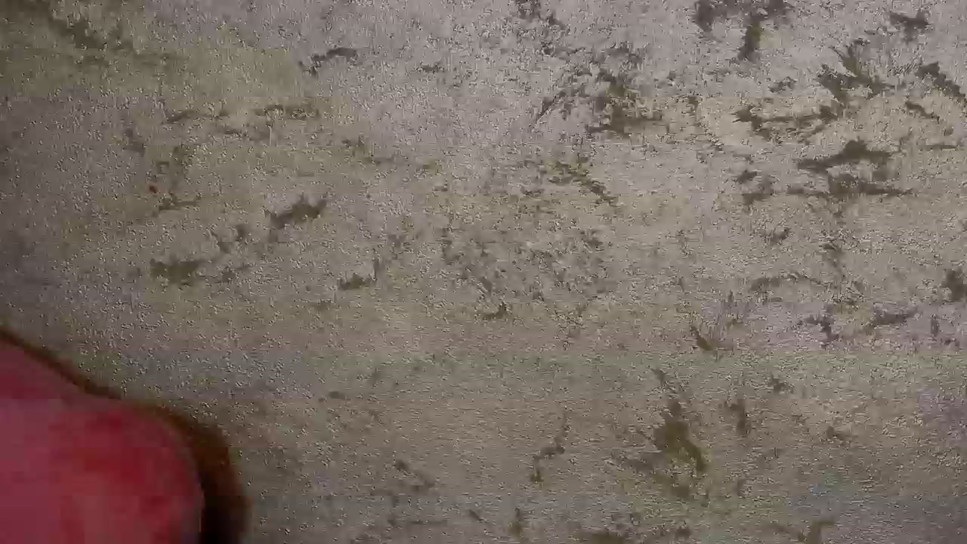 Gallery image thumbnail from Radiance's myfreecams stream on, 12/20/2023, 16:31 image 5 of 20