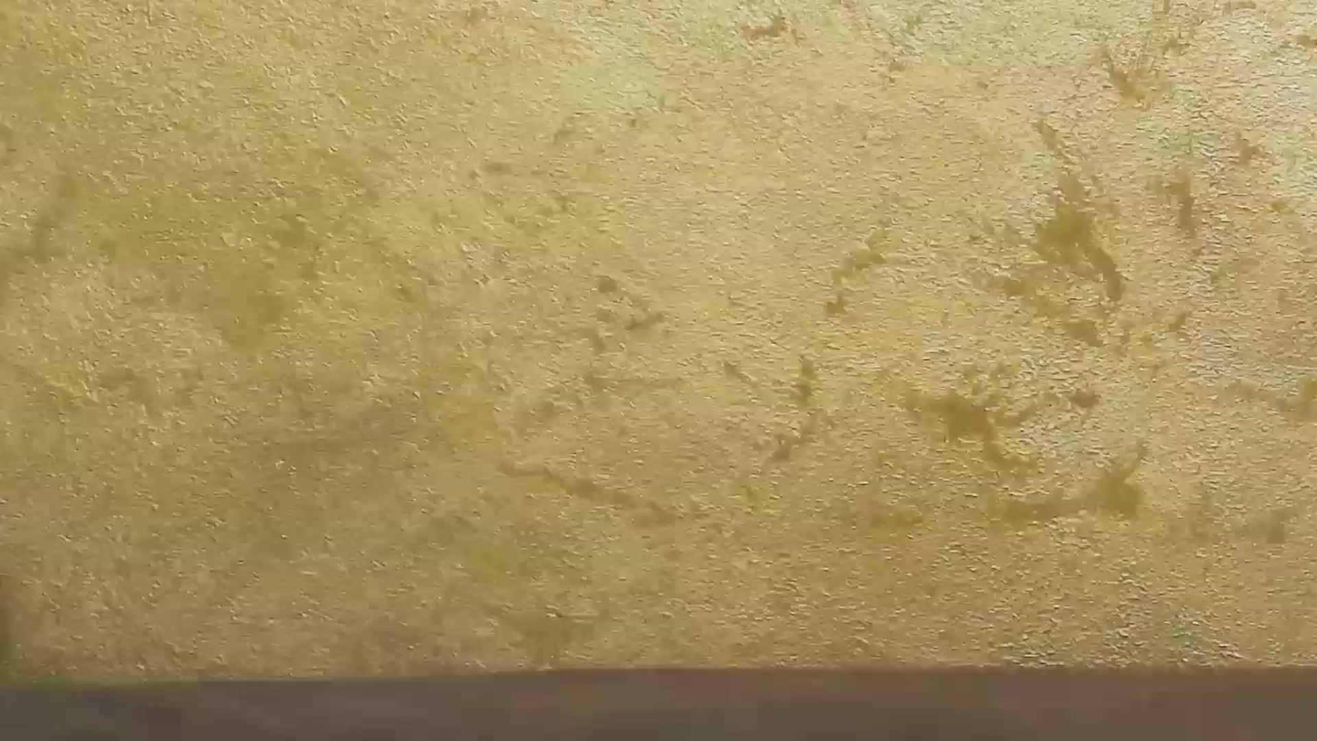 Gallery image thumbnail from Radiance's myfreecams stream on, 01/31/2024, 14:37 image 17 of 20