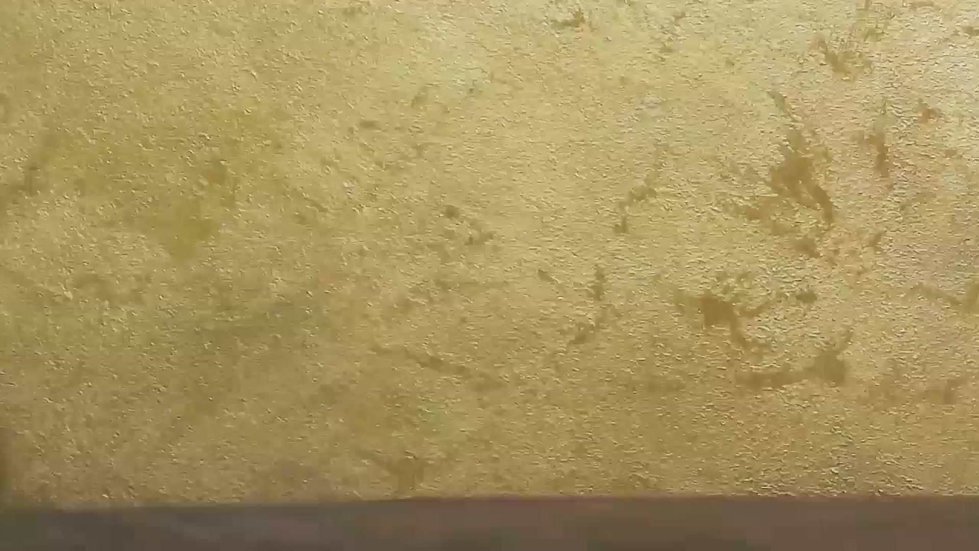Gallery image thumbnail from Radiance's myfreecams stream on, 01/31/2024, 14:37 image 18 of 20