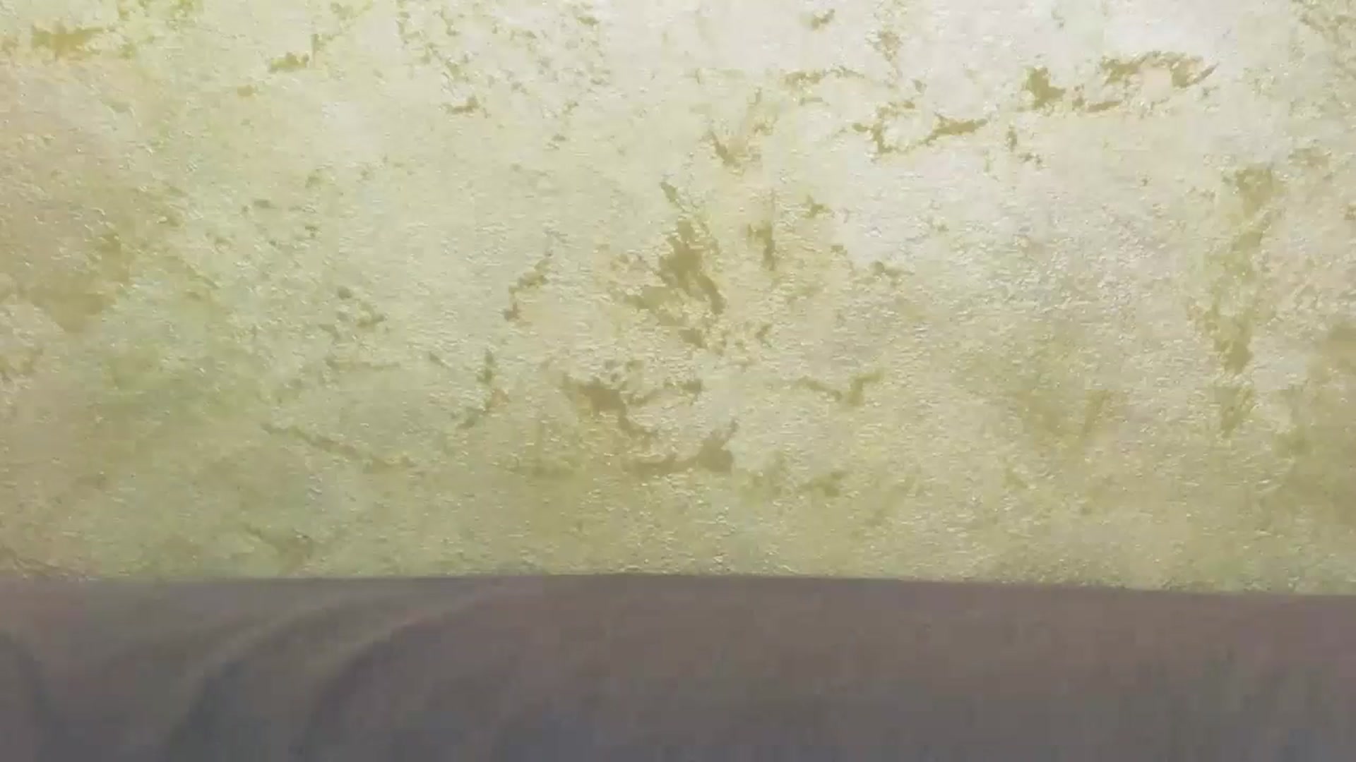 Gallery image thumbnail from Radiance's myfreecams stream on, 06/22/2024, 14:53 image 19 of 20