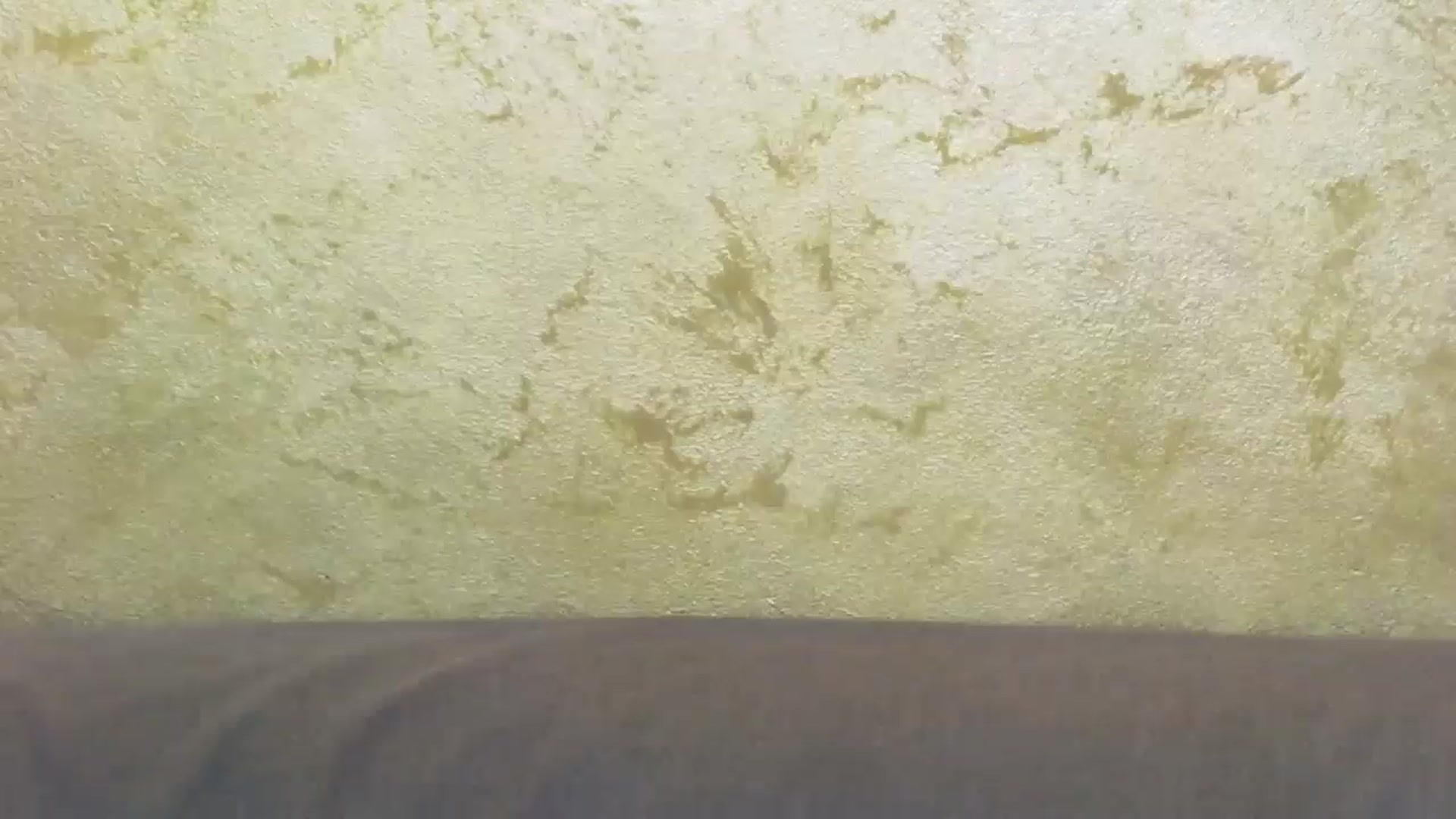 Gallery image thumbnail from Radiance's myfreecams stream on, 06/22/2024, 14:53 image 17 of 20