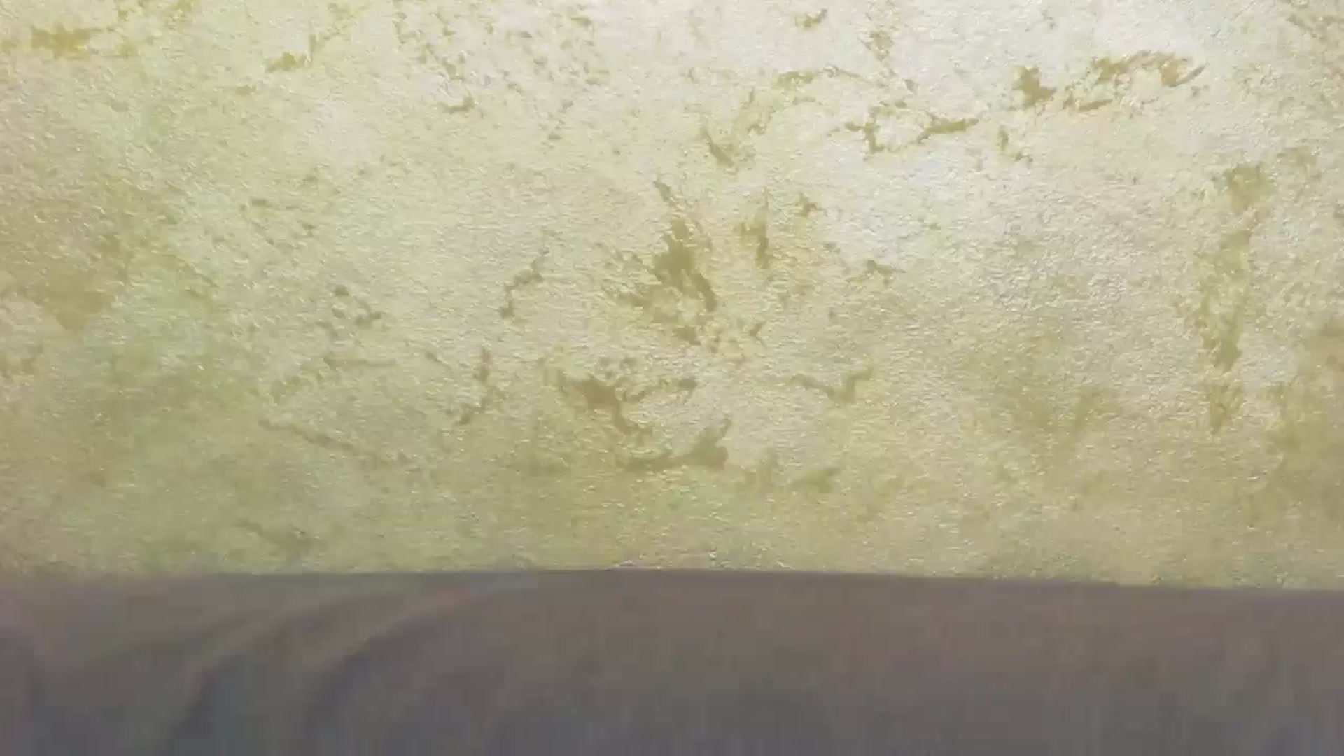 Gallery image thumbnail from Radiance's myfreecams stream on, 06/22/2024, 14:53 image 11 of 20