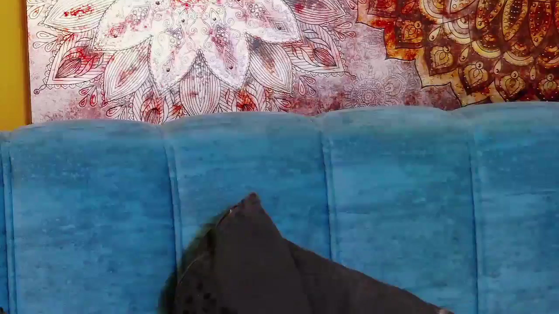 Gallery image thumbnail from Radiance's myfreecams stream on, 07/12/2024, 19:36 image 15 of 20