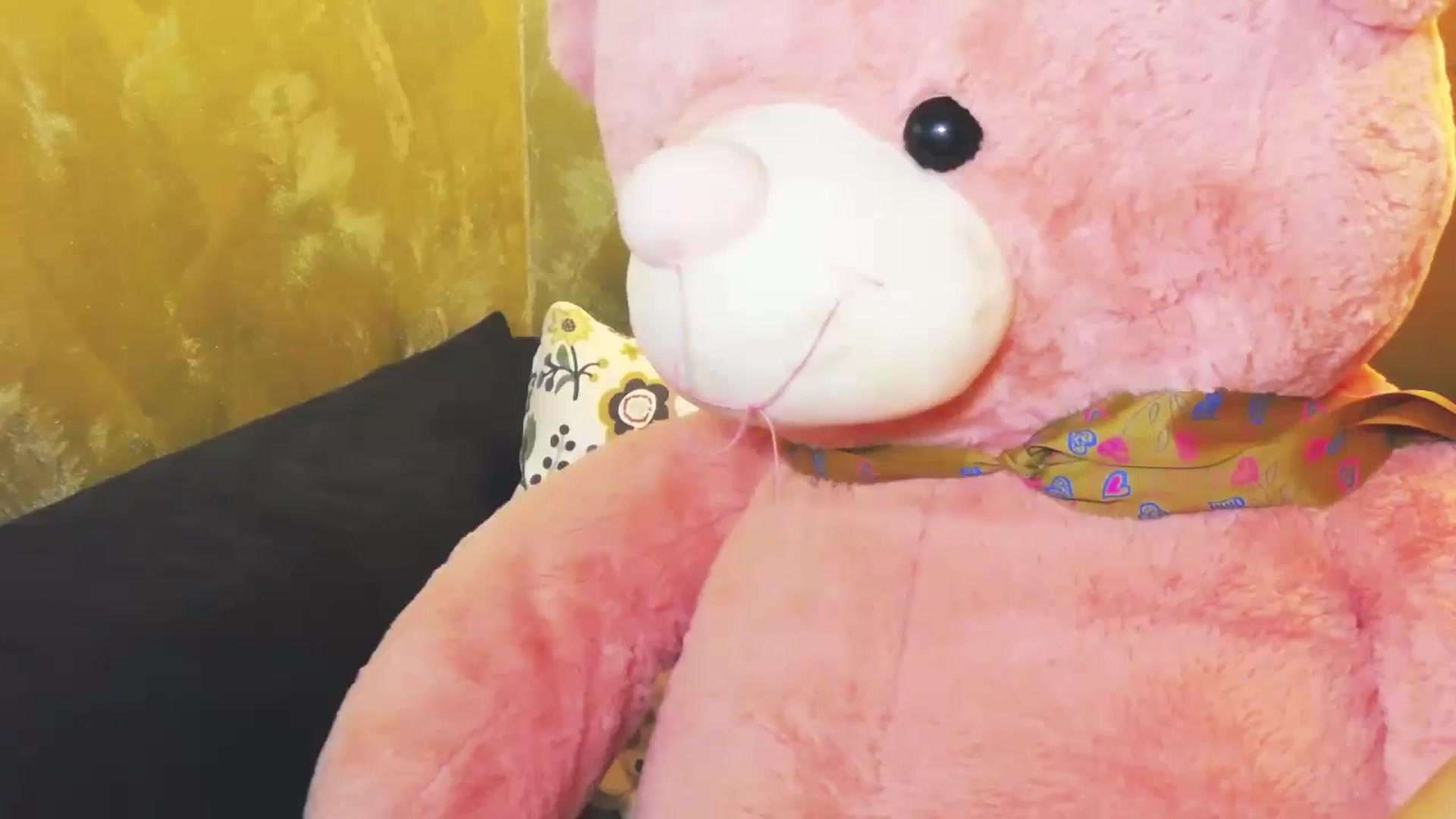 Gallery image thumbnail from Radiance's myfreecams stream on, 07/25/2024, 19:09 image 10 of 20