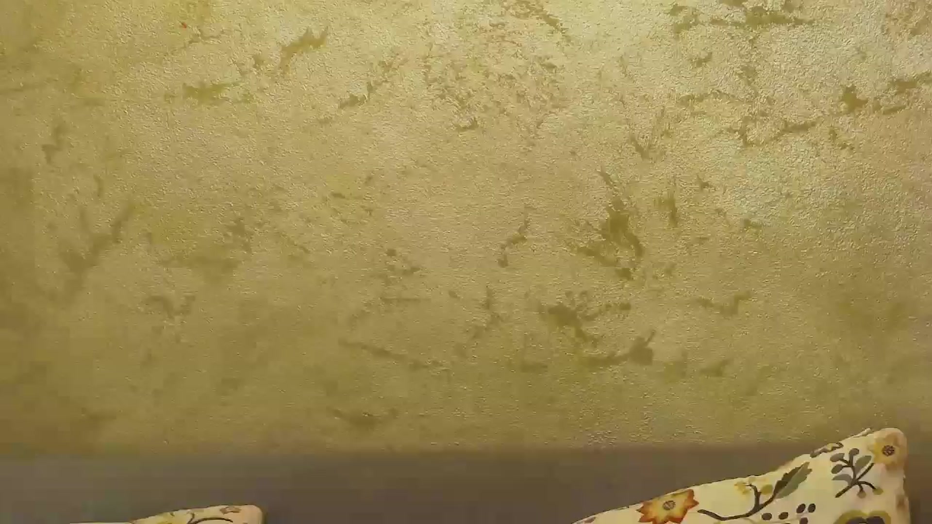 Gallery image thumbnail from Radiance's myfreecams stream on, 09/15/2024, 14:21 image 15 of 20