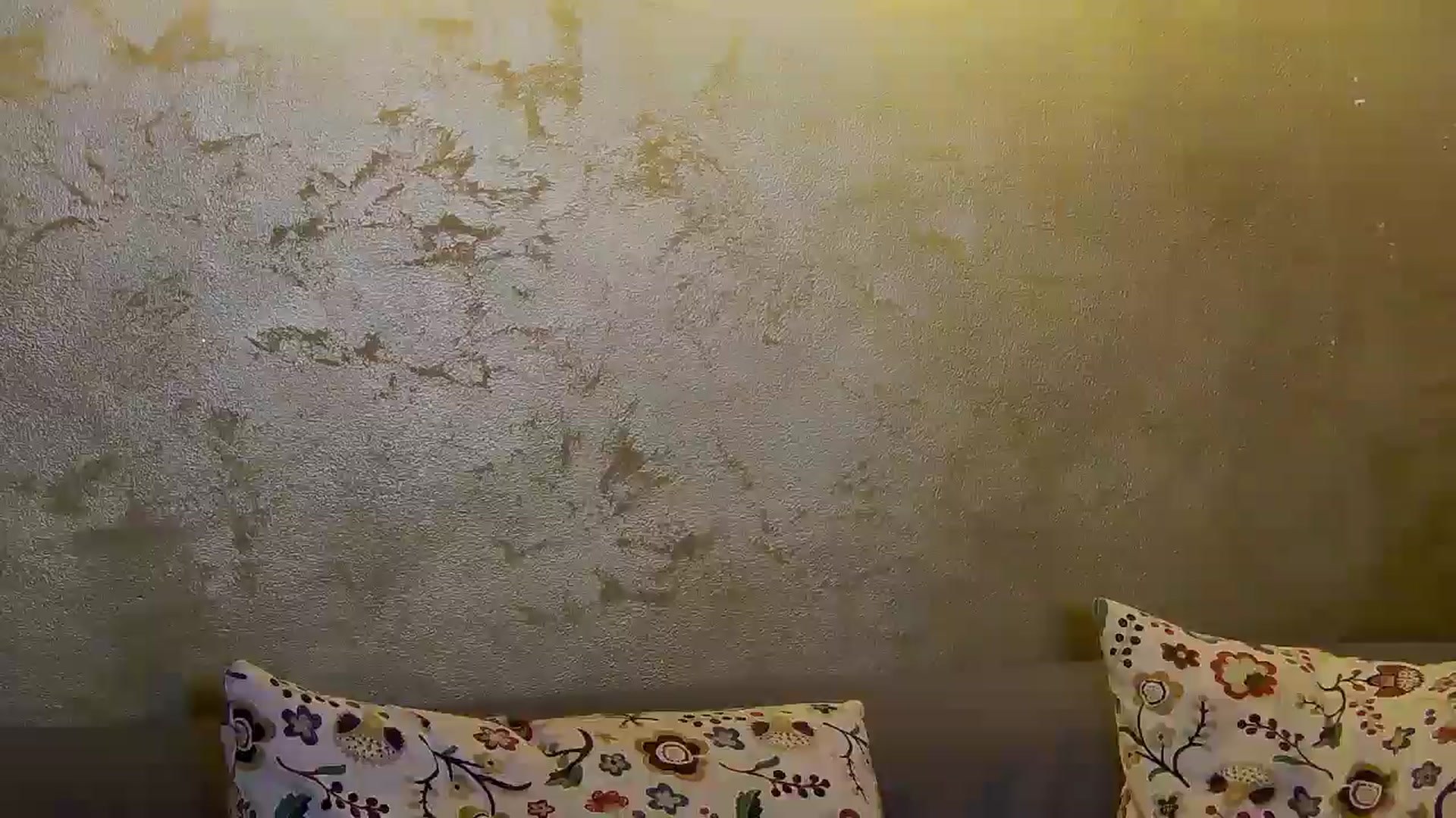 Gallery image thumbnail from Radiance's myfreecams stream on, 11/11/2024, 15:41 image 14 of 20