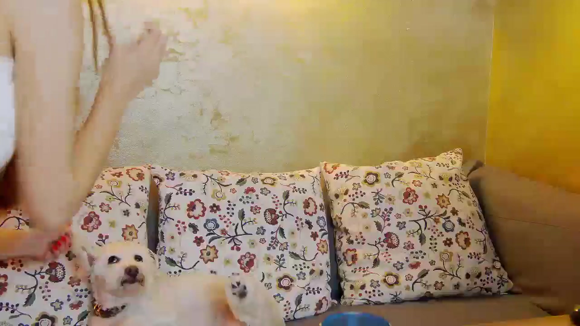 Gallery image thumbnail from Radiance's myfreecams stream on, 04/17/2025, 13:41 image 5 of 20