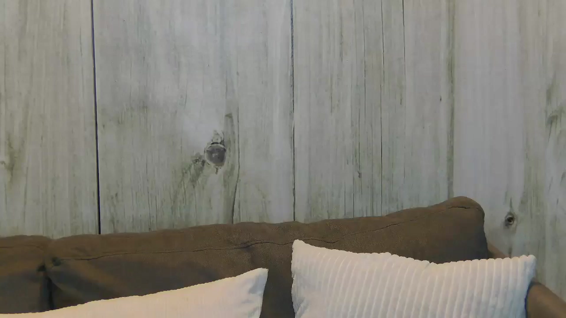 Gallery image thumbnail from Radiance's myfreecams stream on, 06/24/2025, 14:57 image 15 of 20