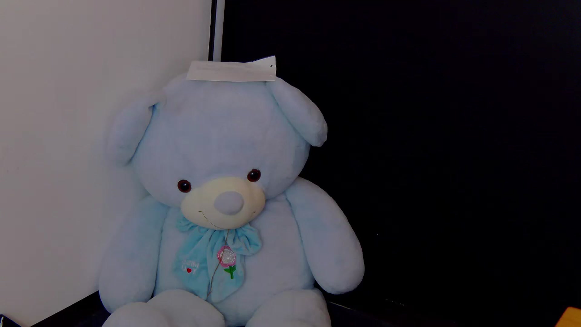 Gallery image thumbnail from Radiance's myfreecams stream on, 07/08/2025, 14:01 image 11 of 20